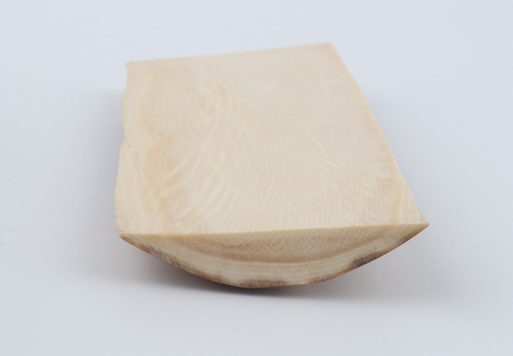 Beige mammoth bark