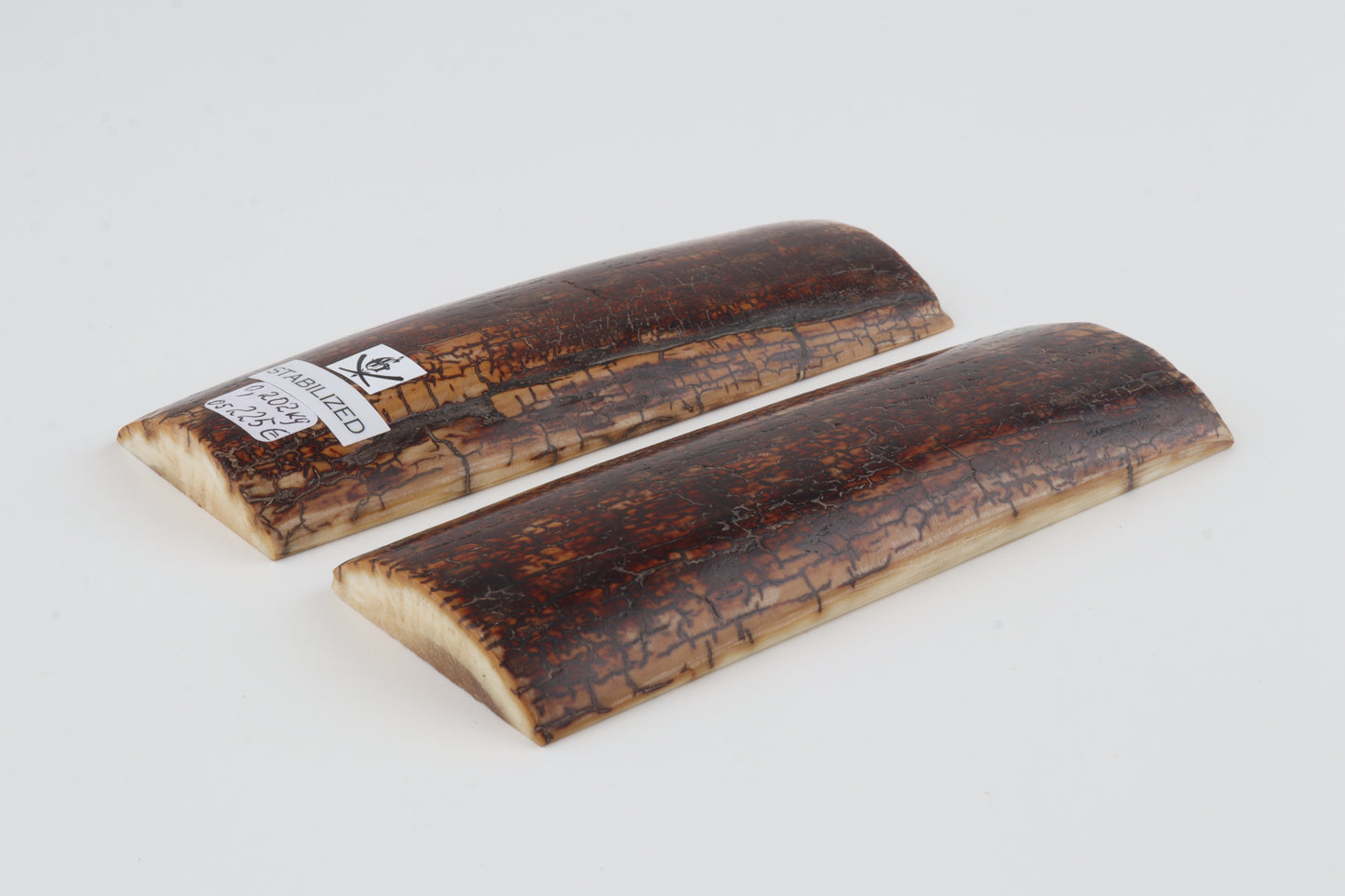 Stabilized mammoth bark scales