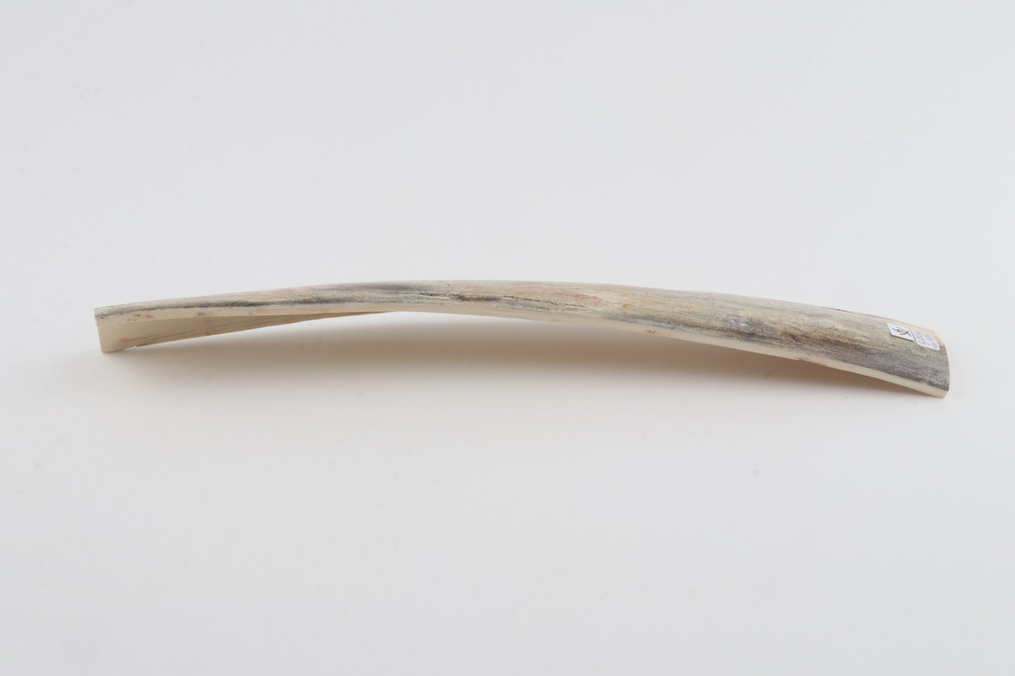 Grey mammoth bark