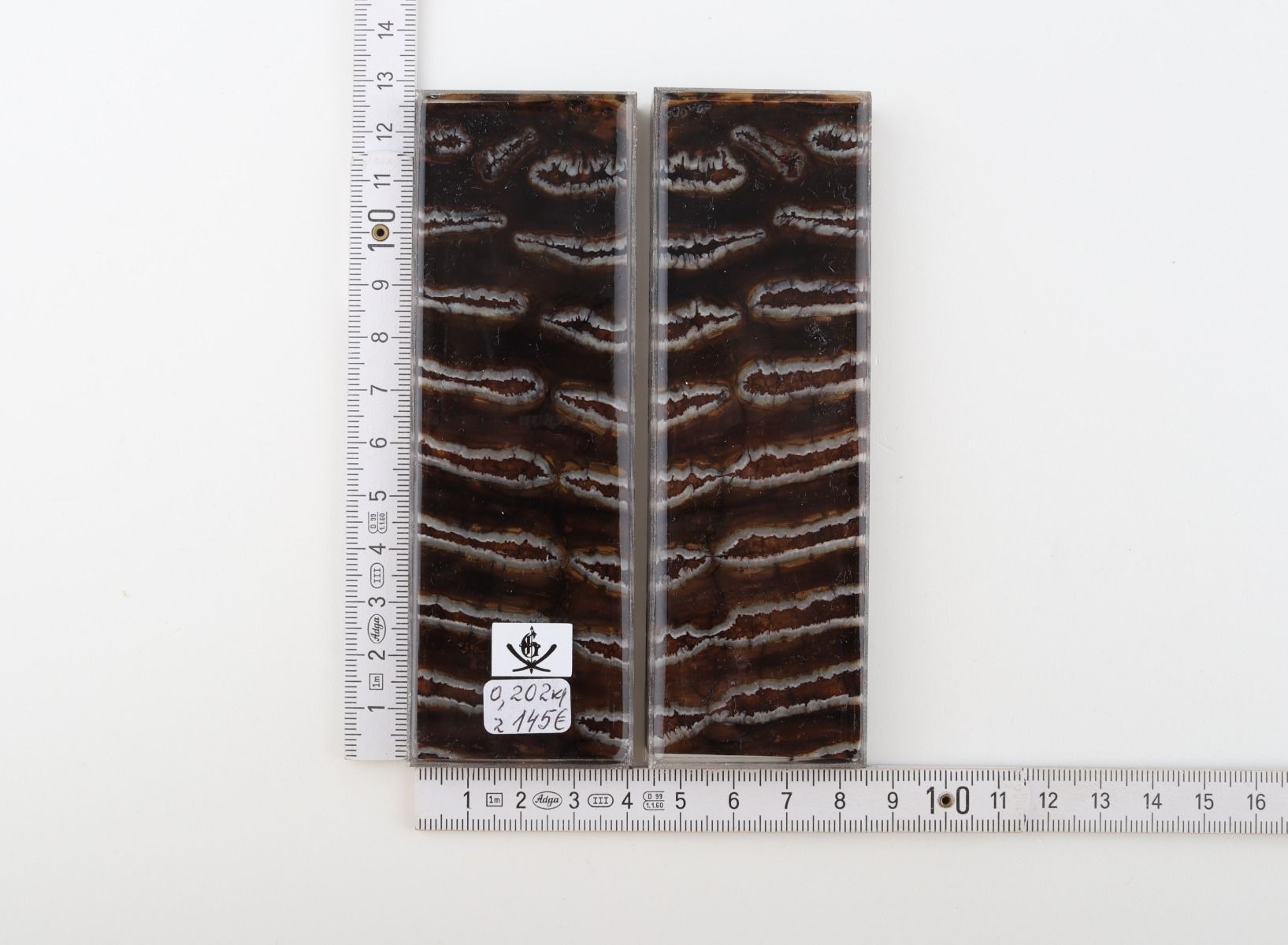 Stabilised mammoth molar scales