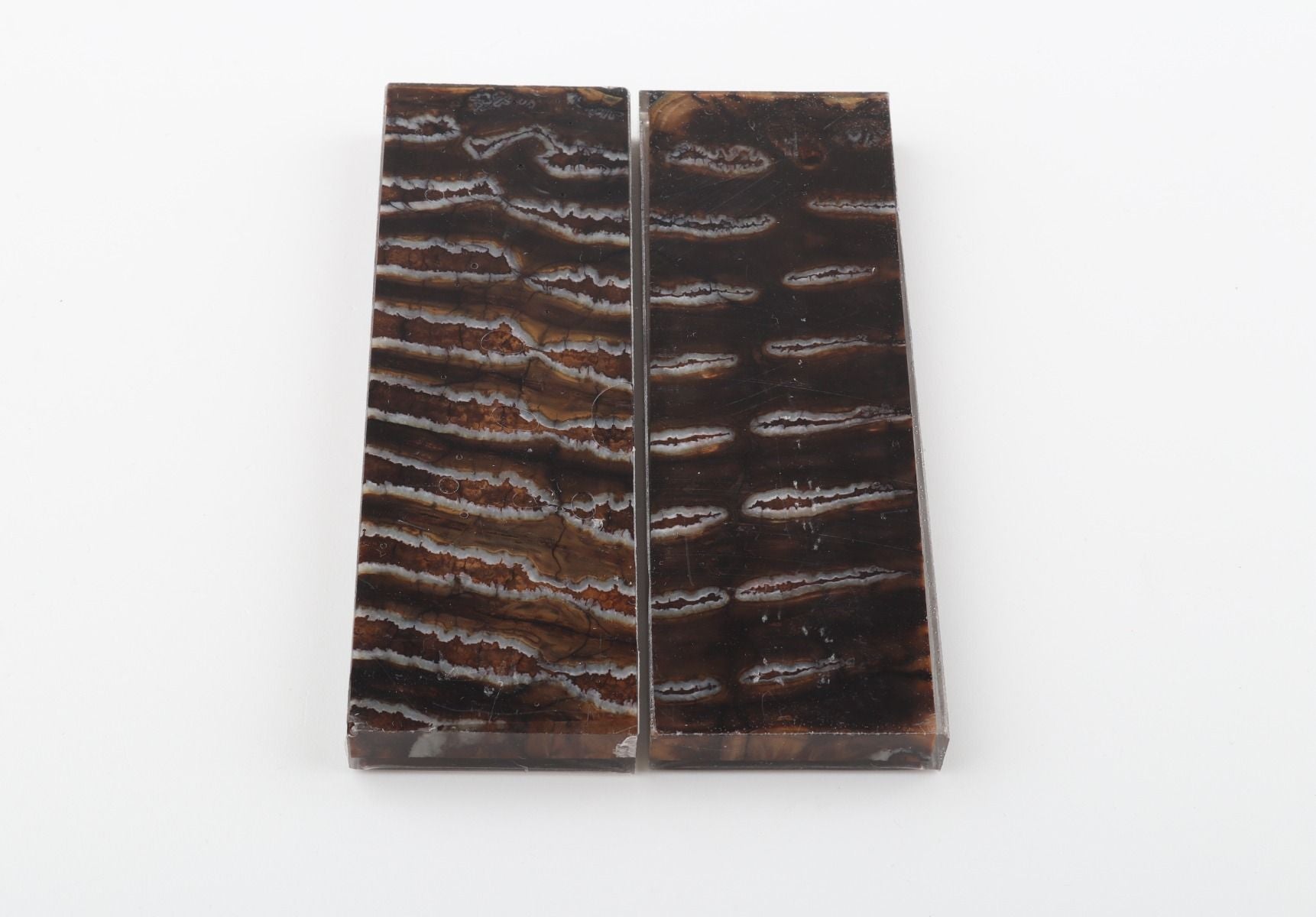Stabilised mammoth molar scales
