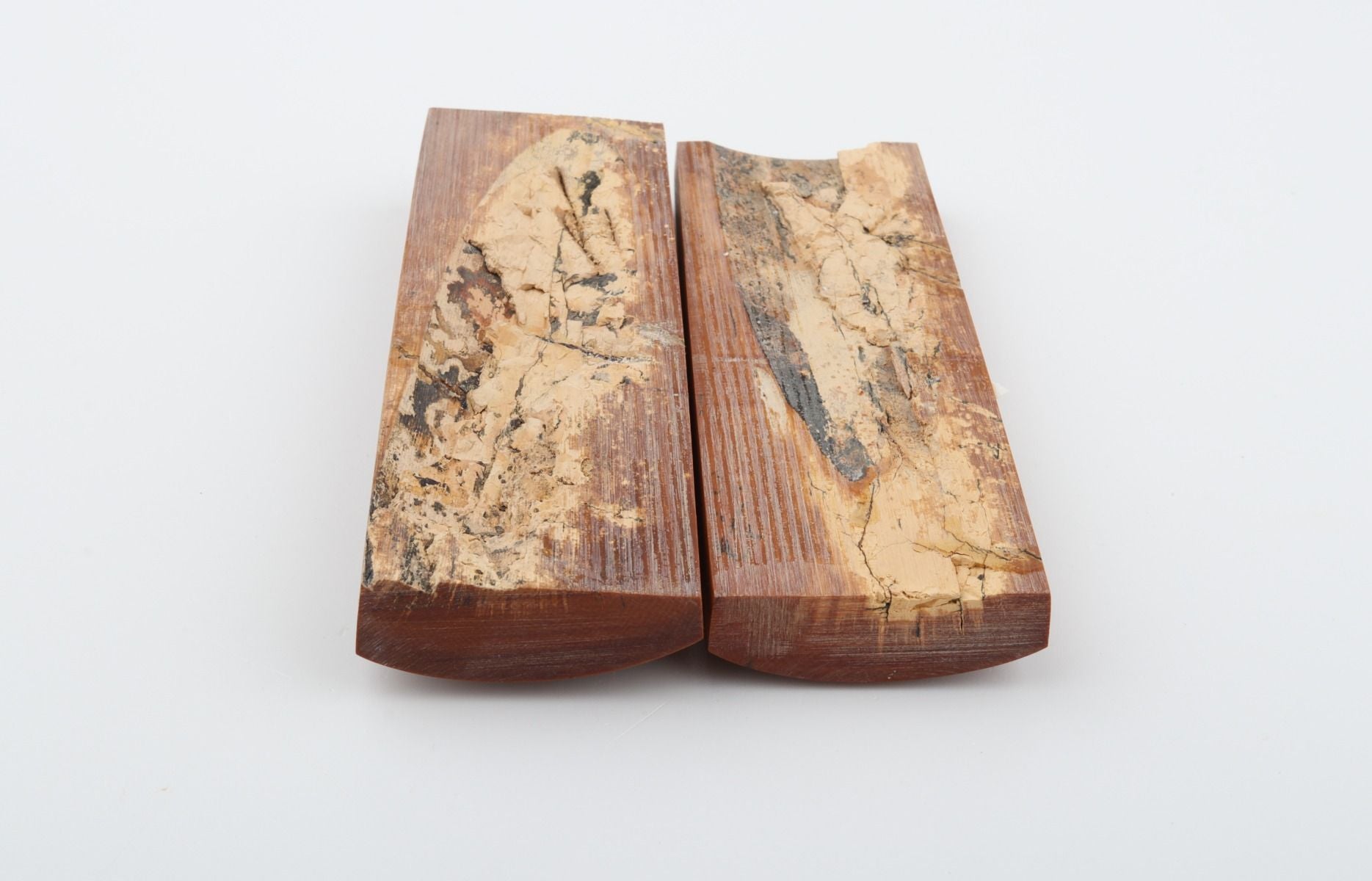 Stabilized mammoth bark scales