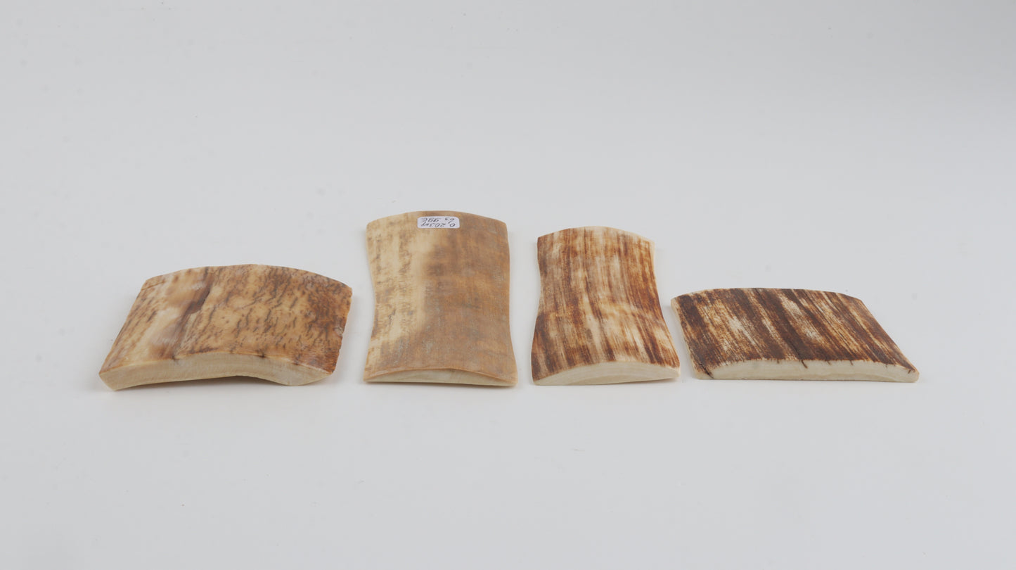 Natural mammoth bark pieces