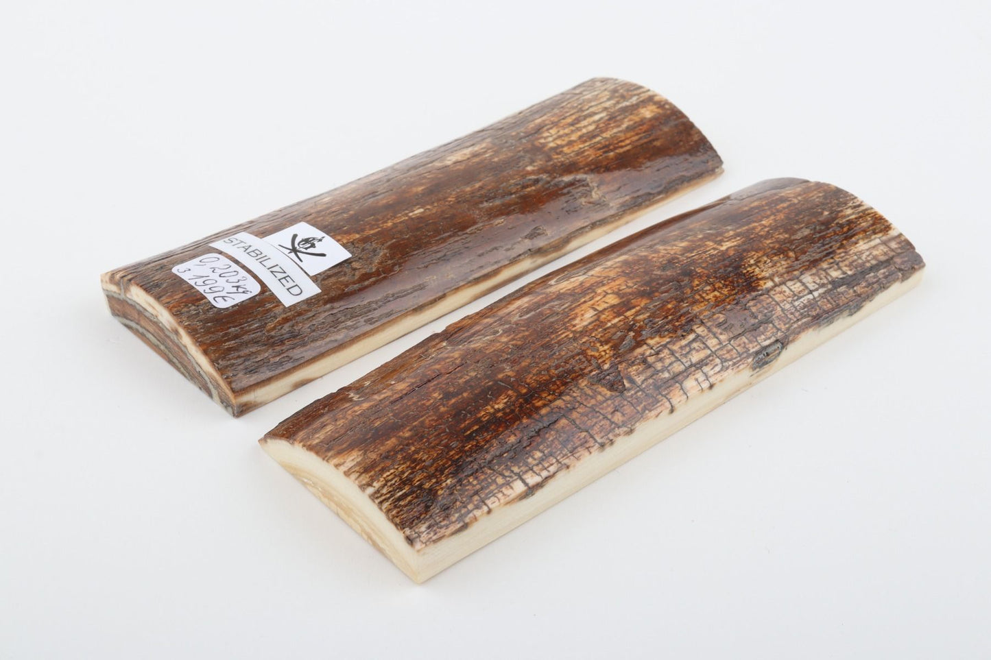 Stabilised mammoth bark scales
