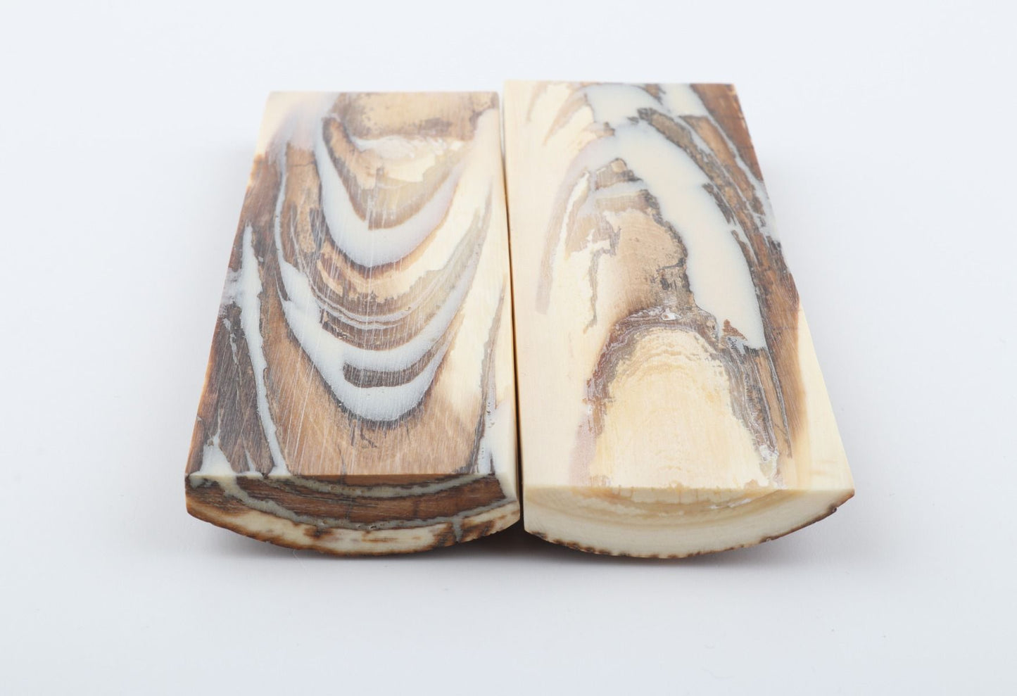 Stabilised mammoth bark scales