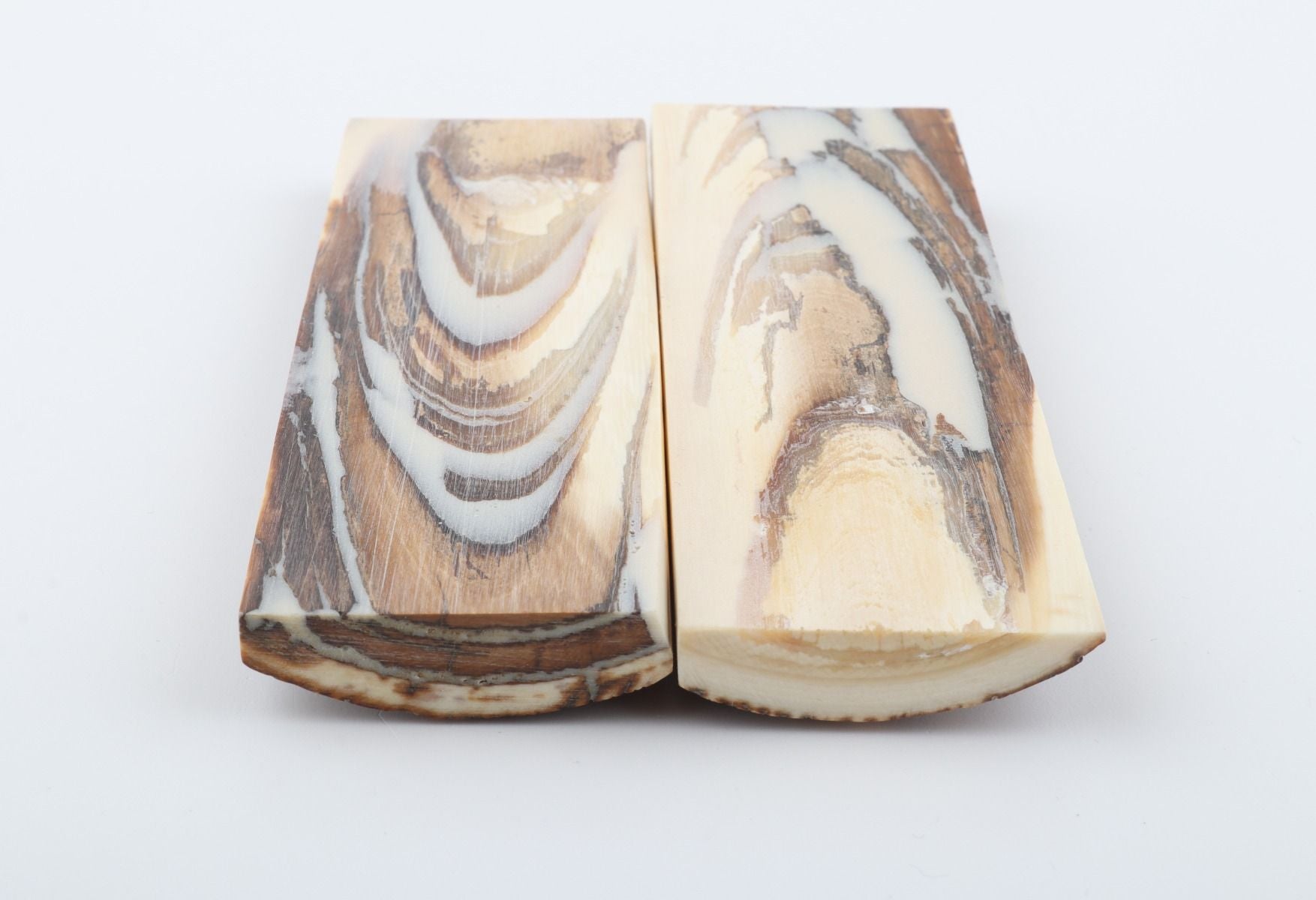 Stabilised mammoth bark scales