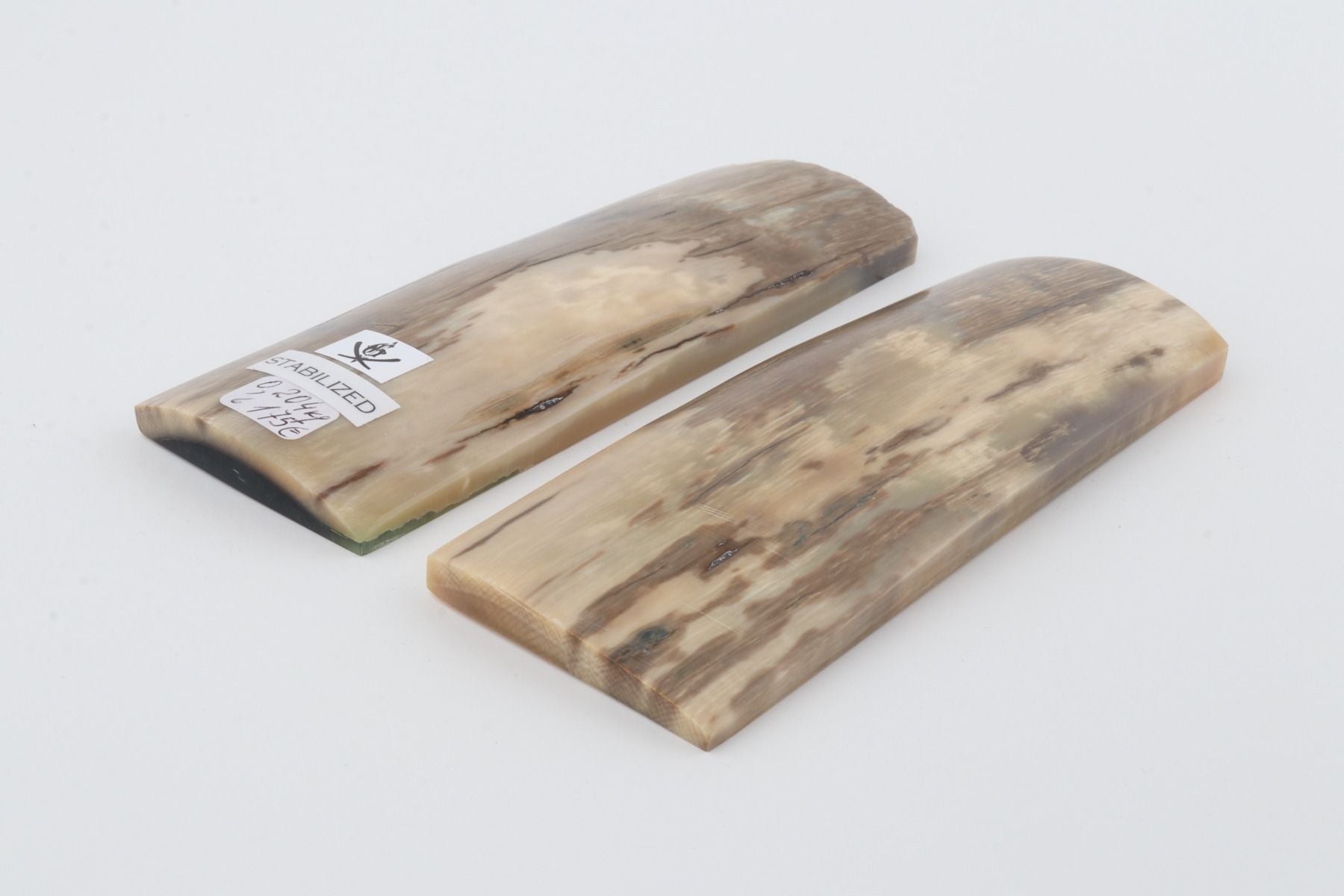Stabilized mammoth bark scales