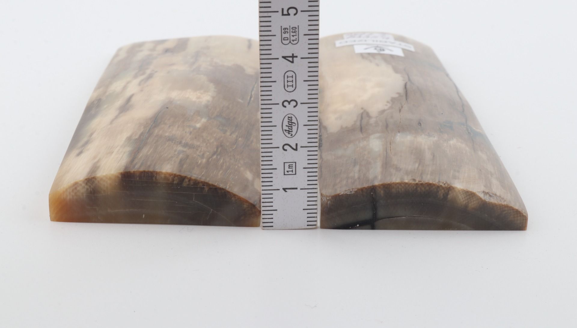 Stabilized mammoth bark scales
