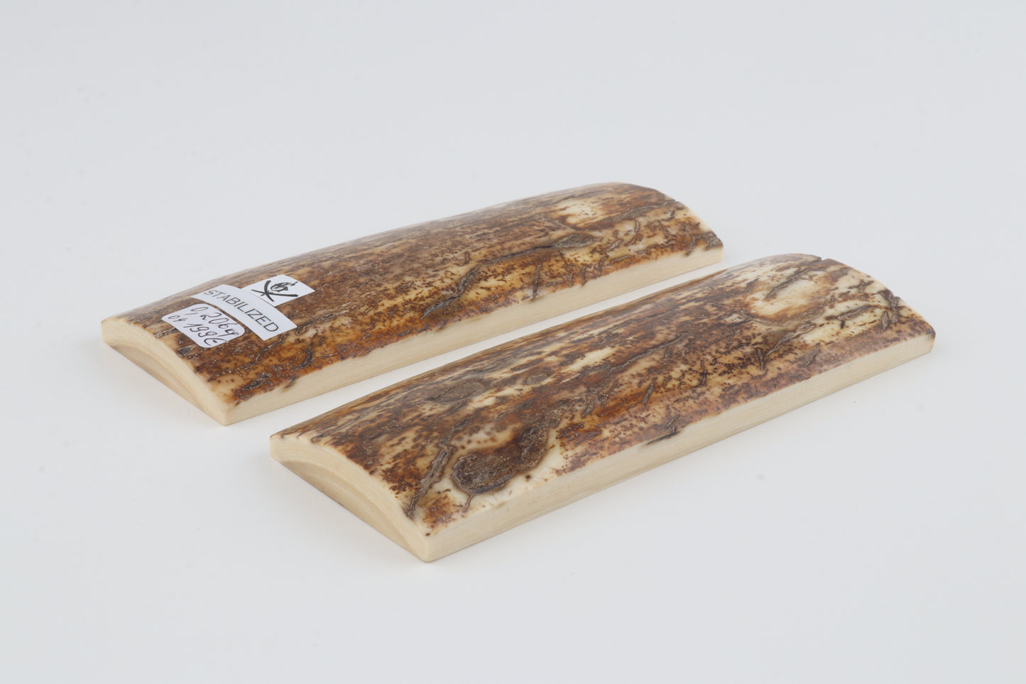 Stabilised mammoth bark scales