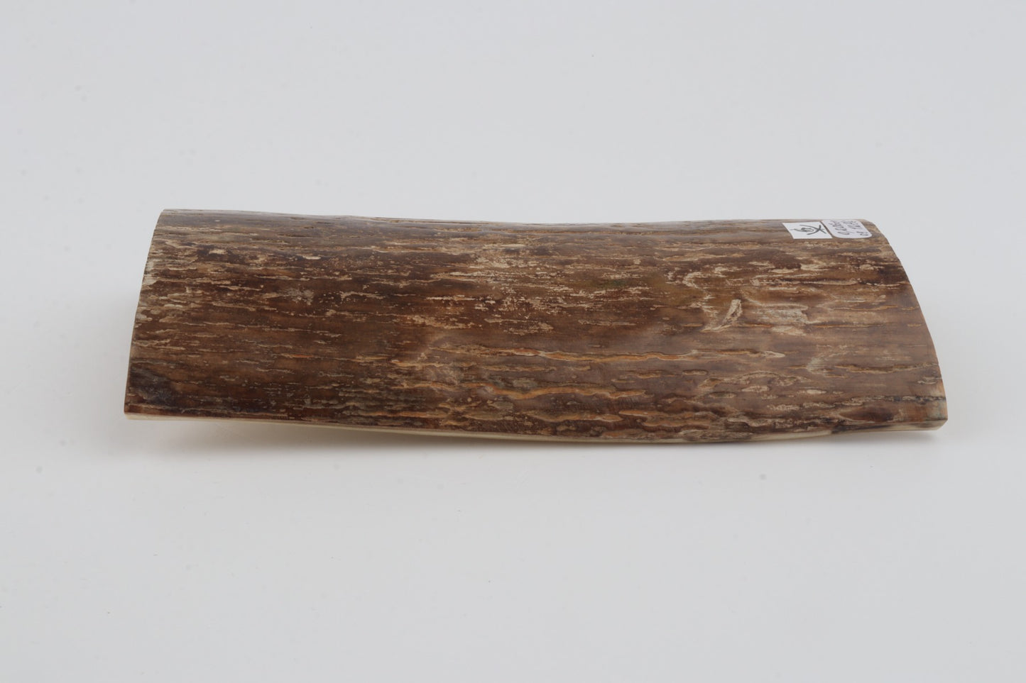 Beige mammoth bark