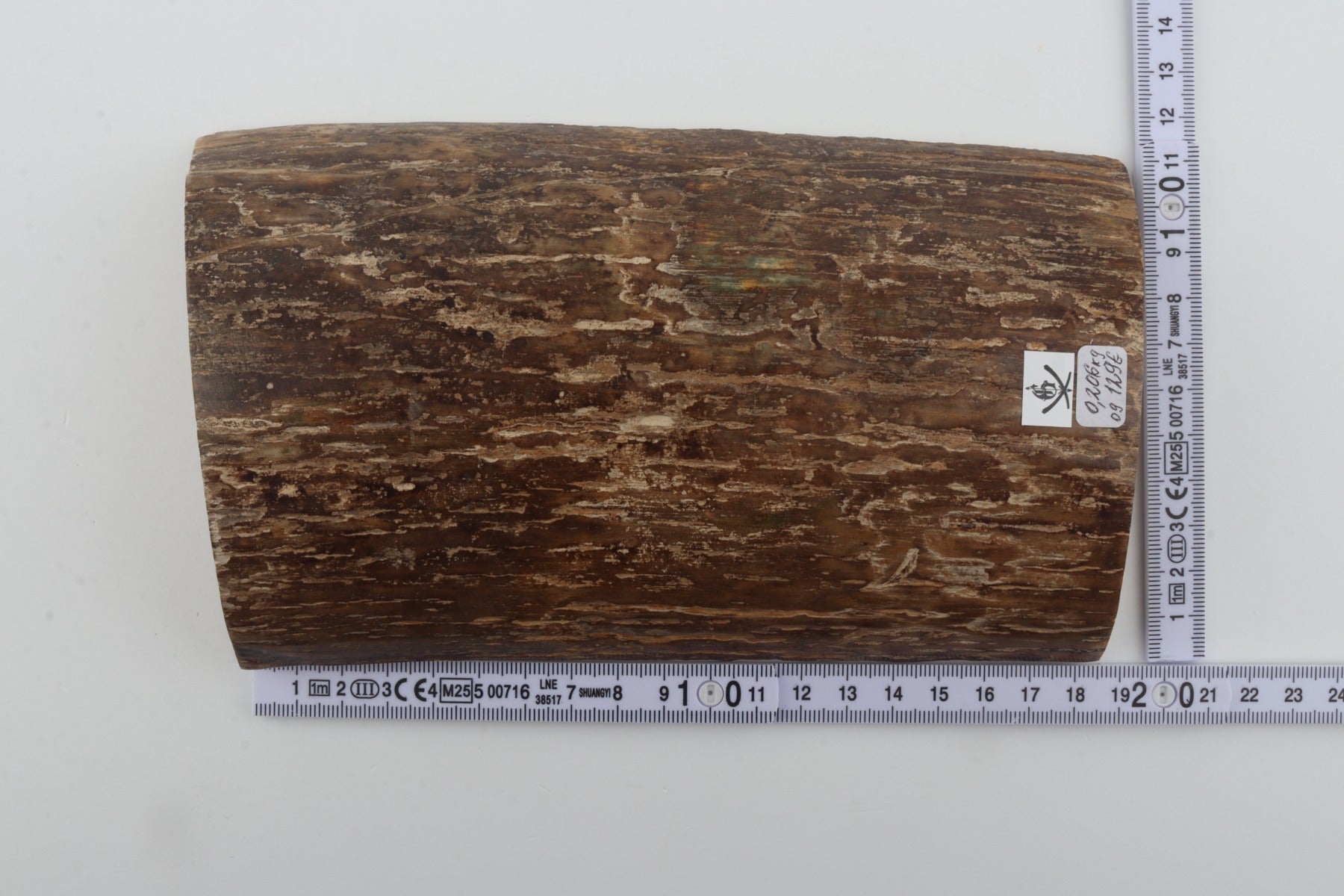 Beige mammoth bark