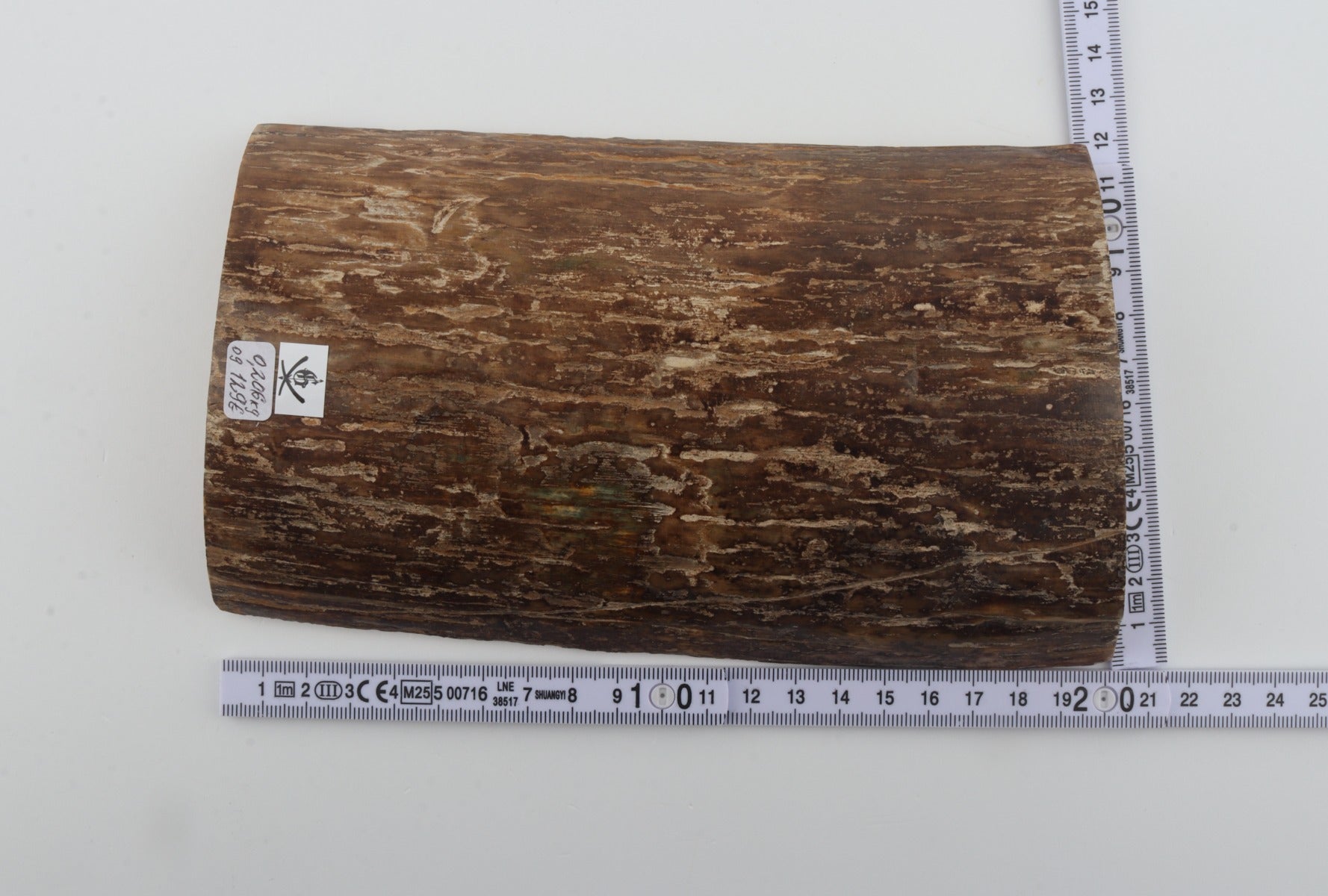 Beige mammoth bark