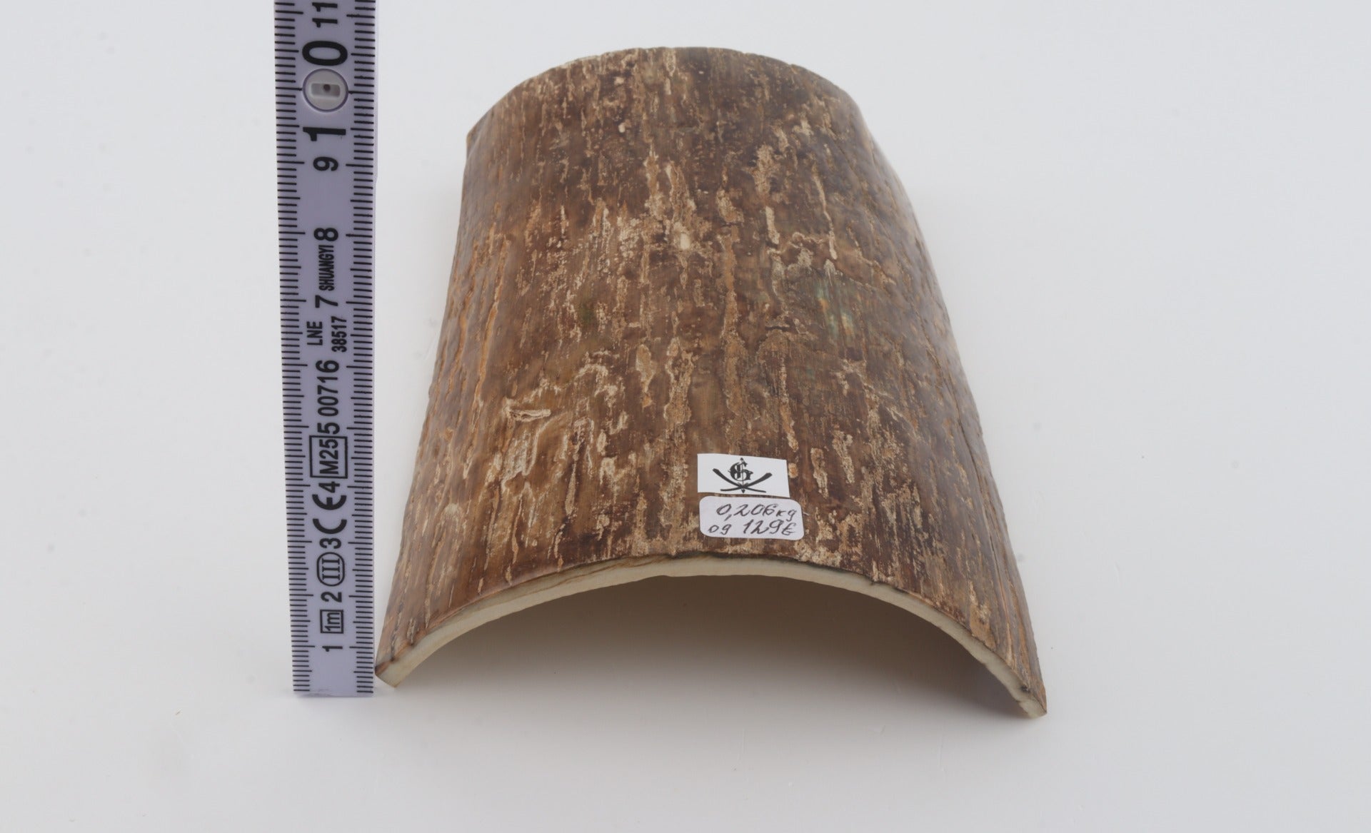 Beige mammoth bark