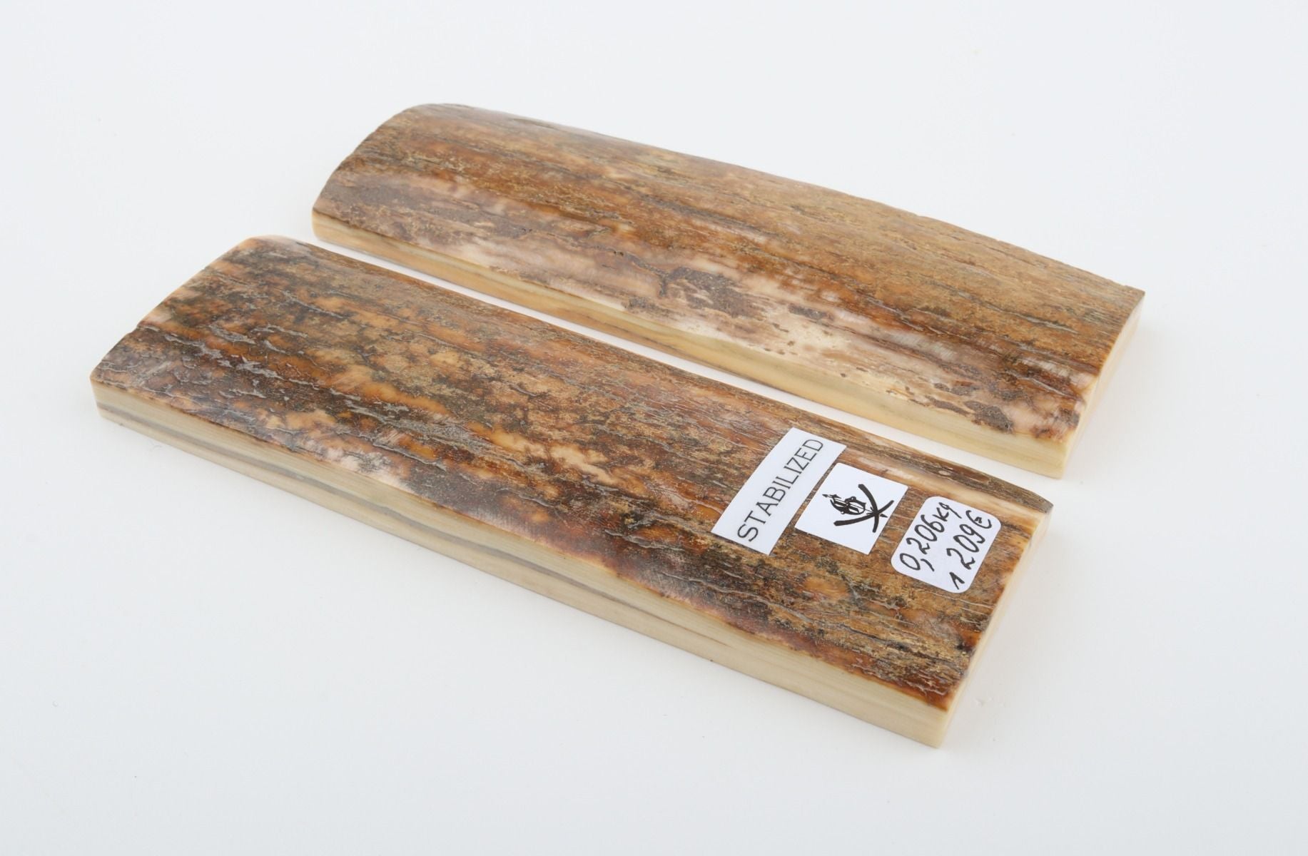 Stabilized mammoth bark scales