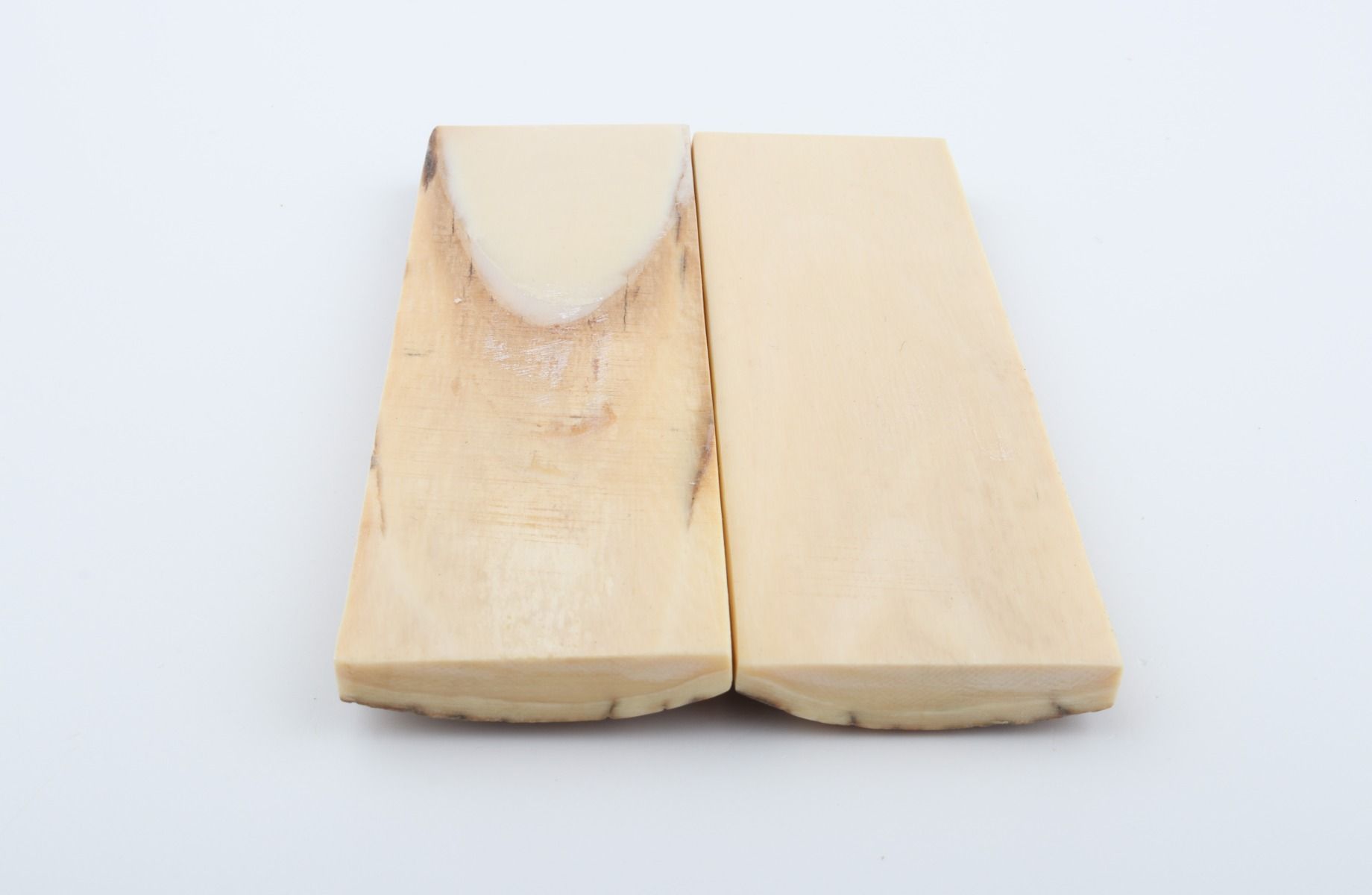 Stabilized mammoth bark scales