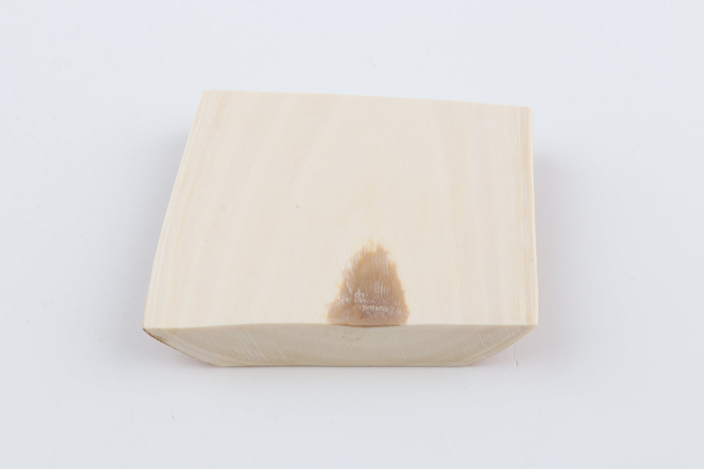 White mammoth ivory segment