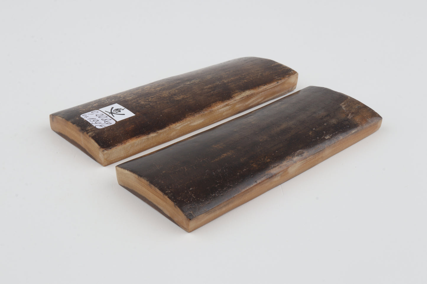 Natural mammoth bark scales