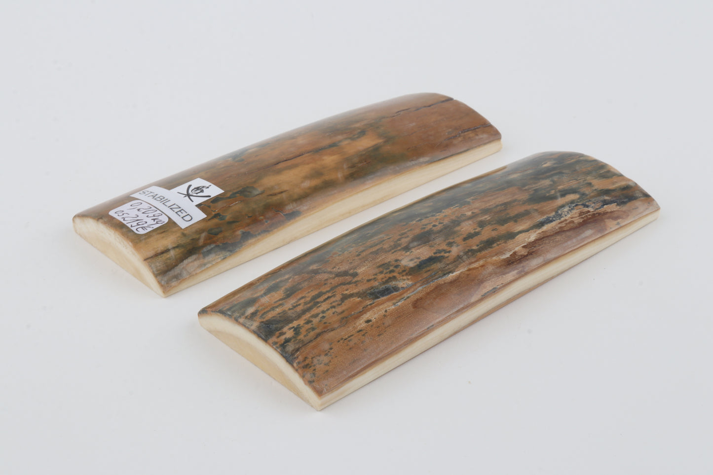 Stabilised mammoth bark scales