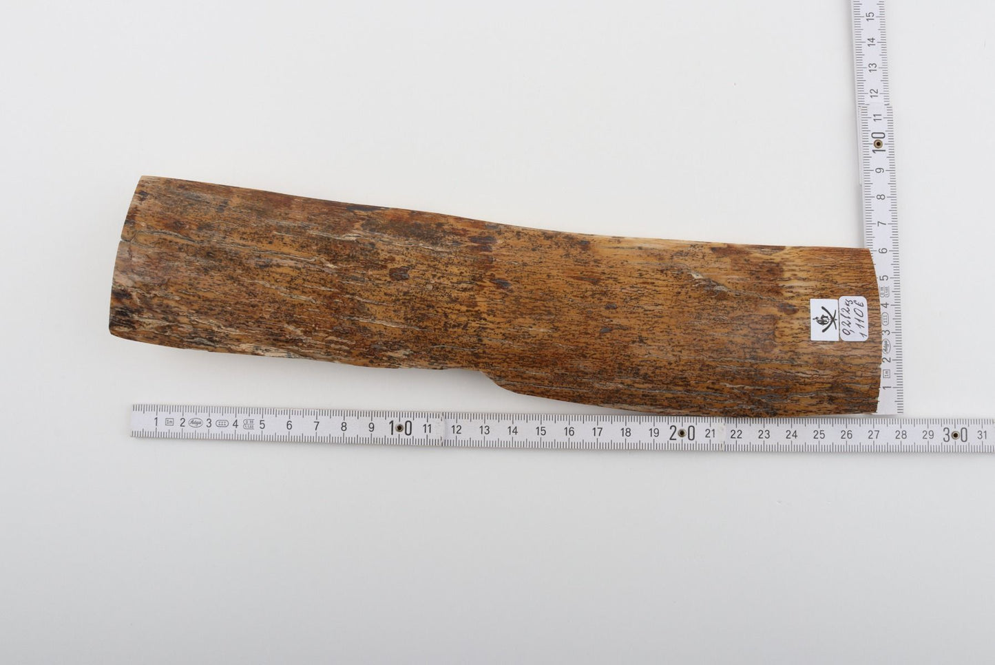 Beige-yellow mammoth bark