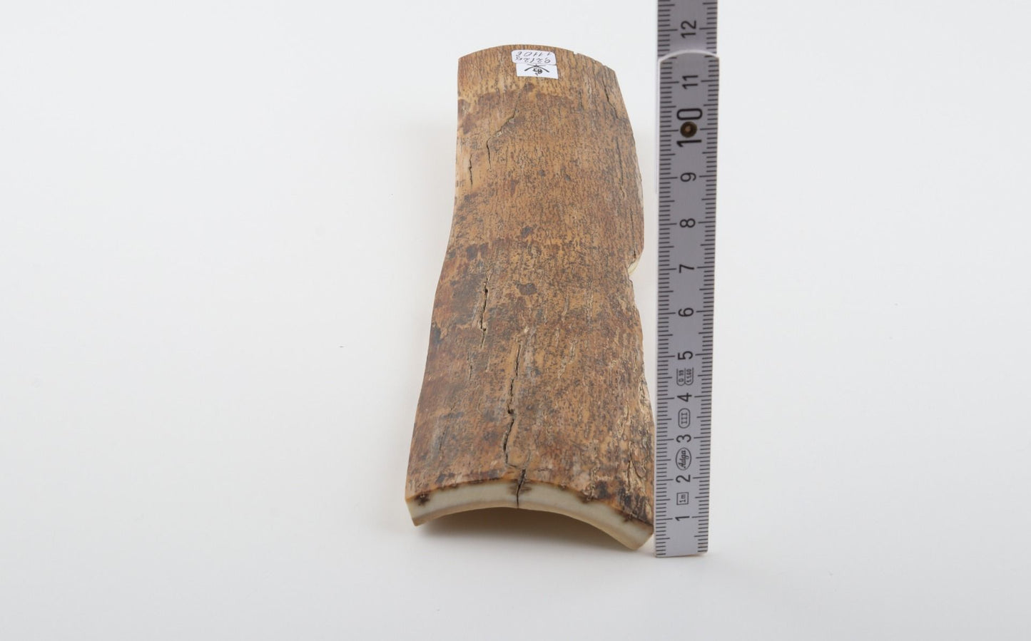Beige-yellow mammoth bark