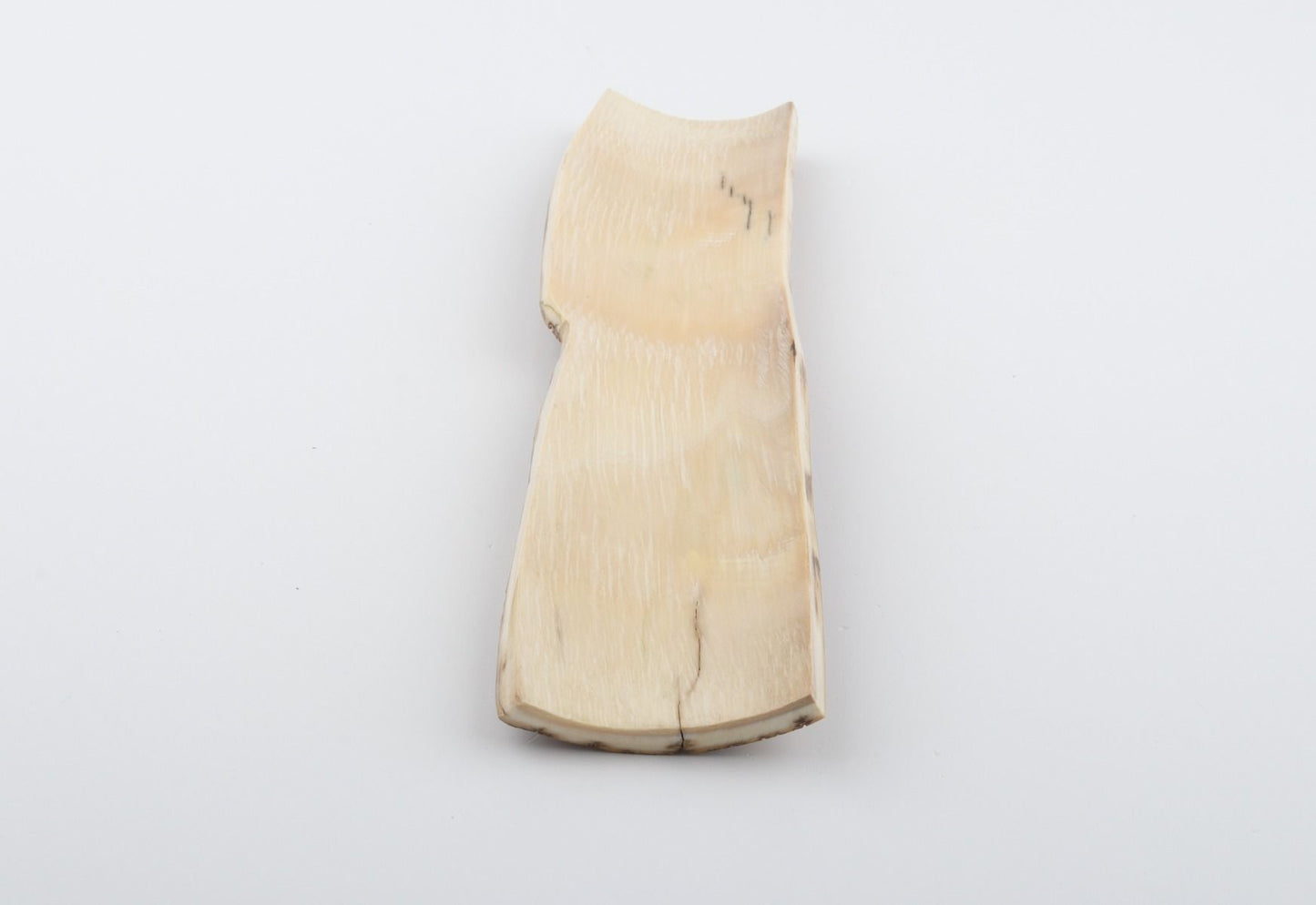 Beige-yellow mammoth bark