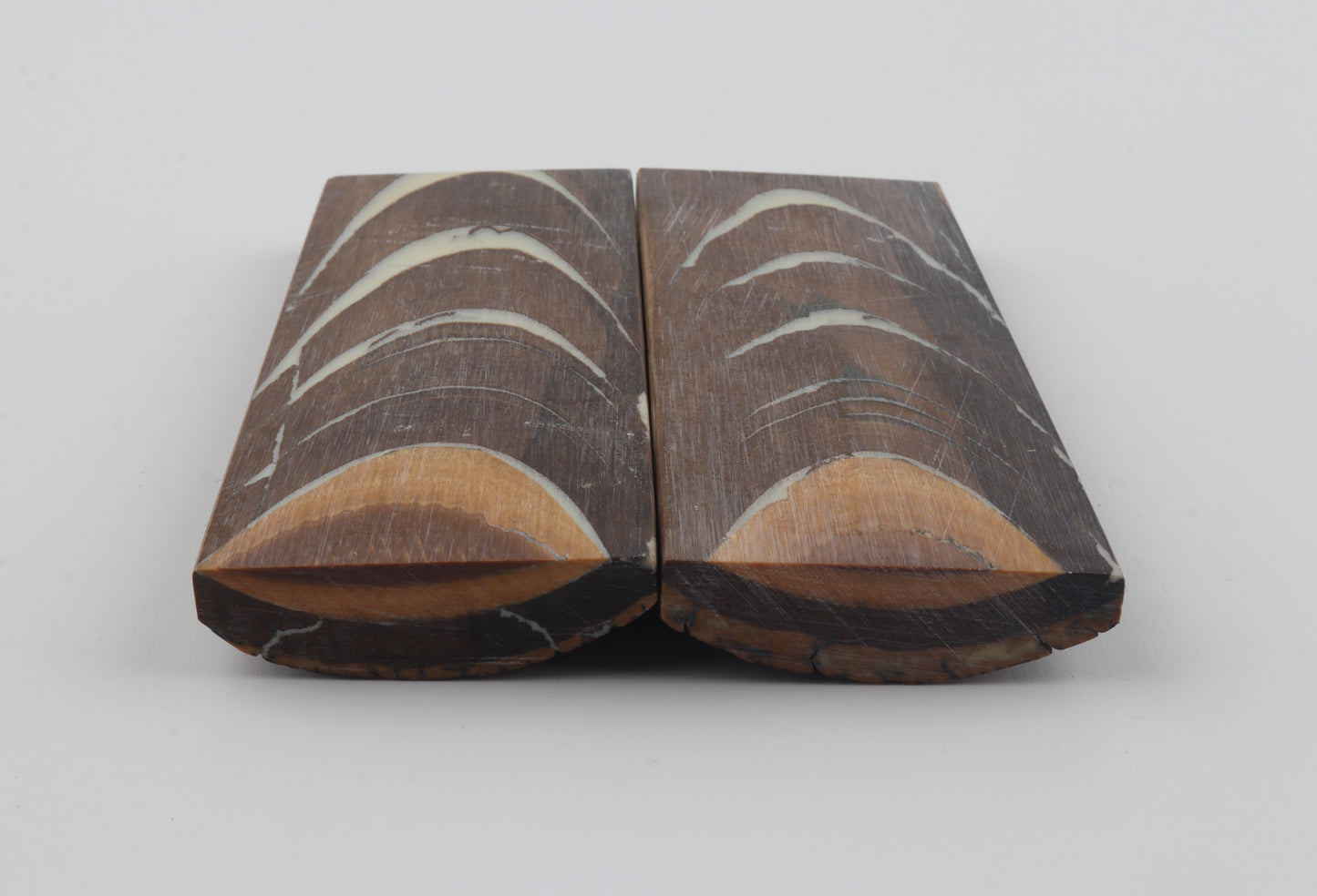 Stabilized mammoth bark scales