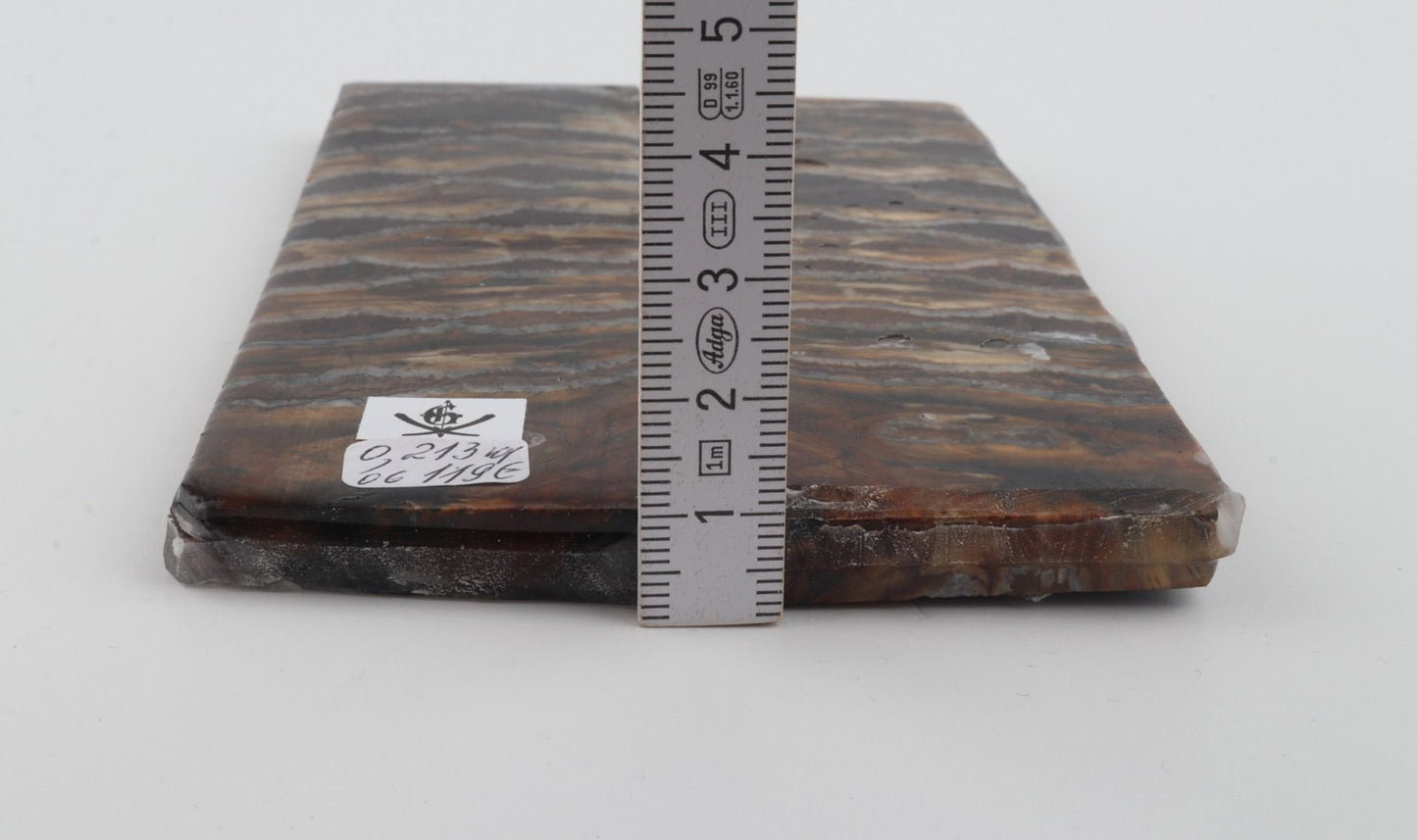 Stabilised mammoth molar scales