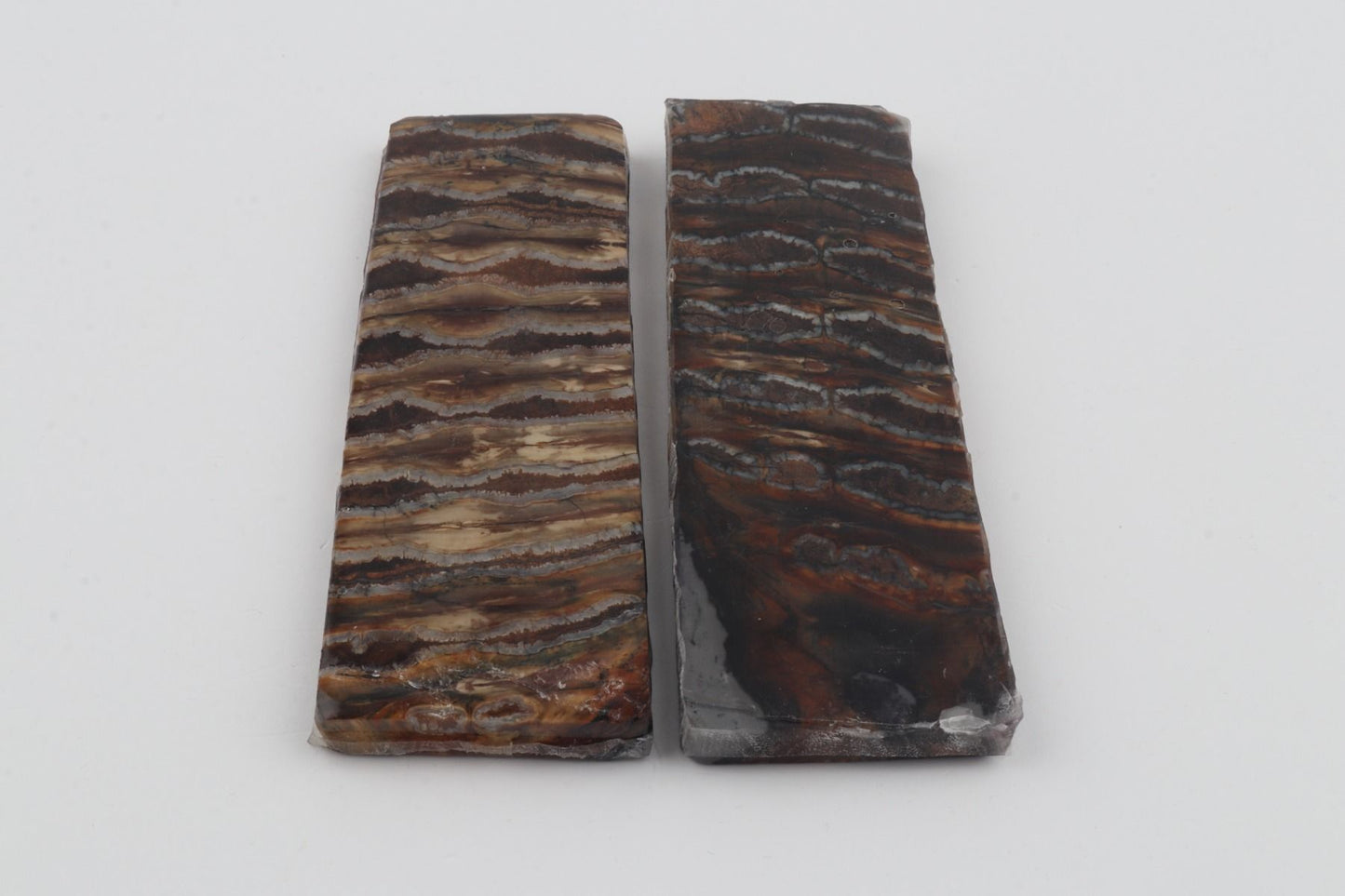 Stabilised mammoth molar scales