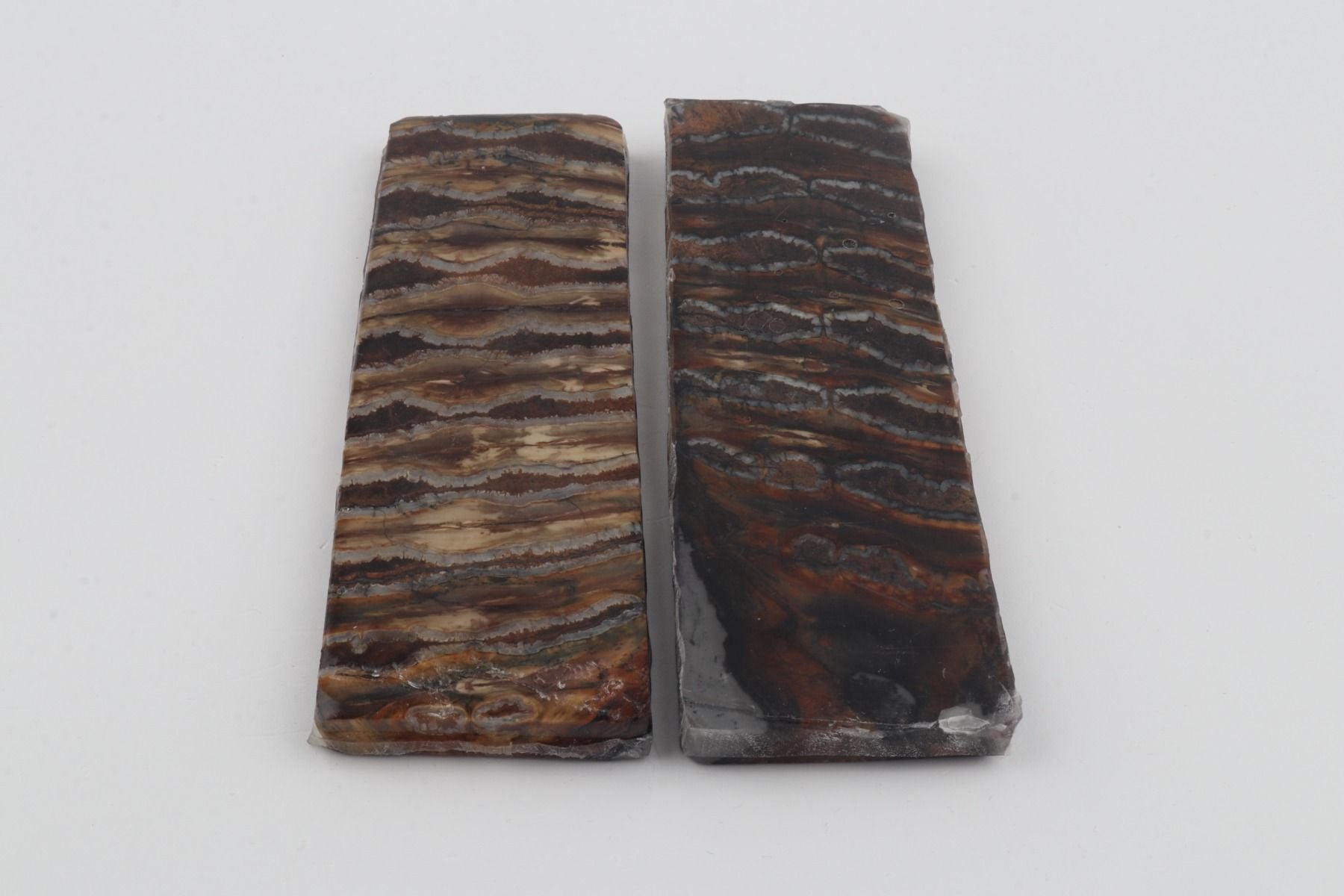 Stabilised mammoth molar scales