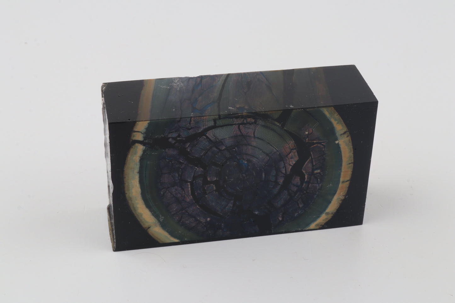 Stabilised mammoth ivory block