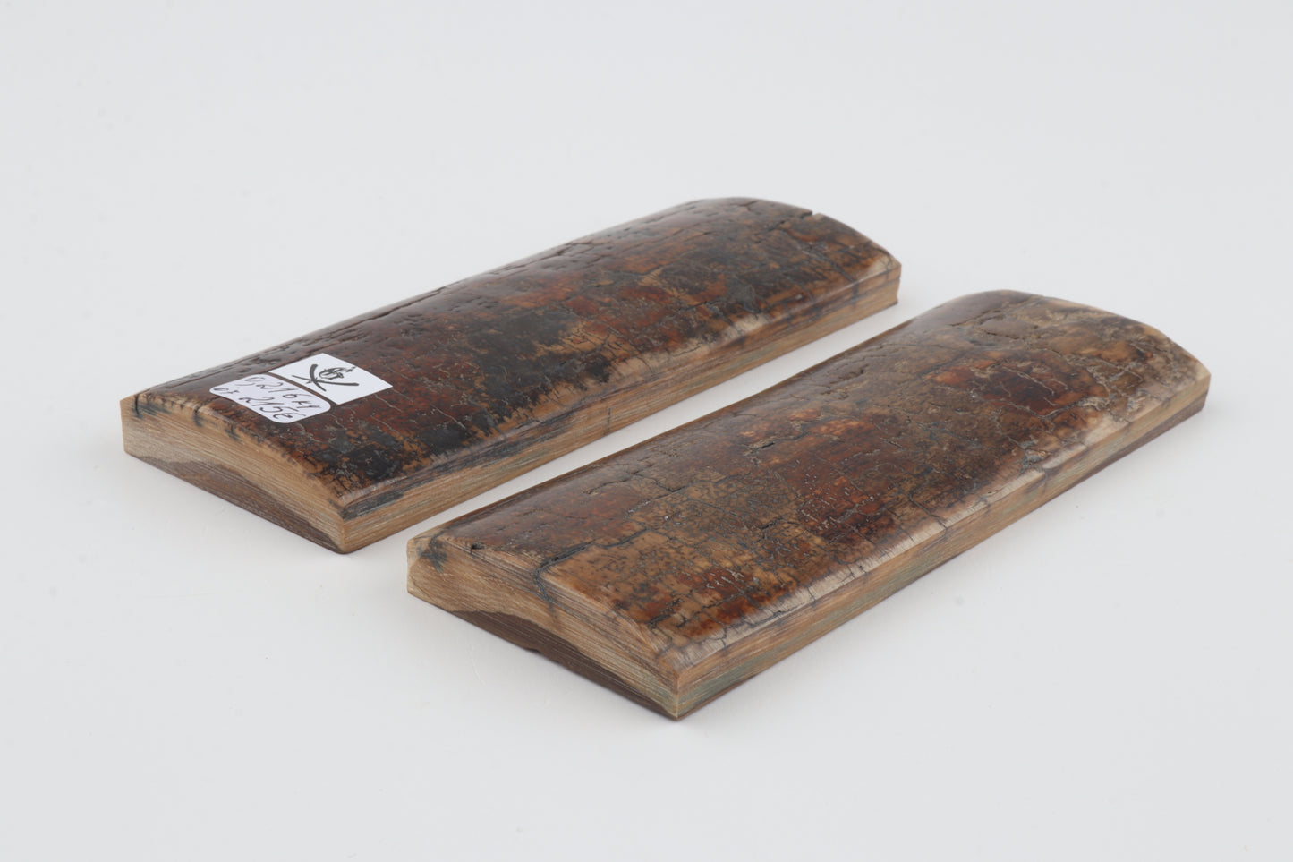 Natural mammoth bark scales