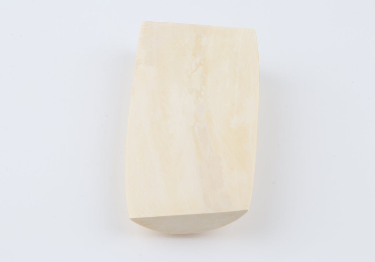 White mammoth ivory segment