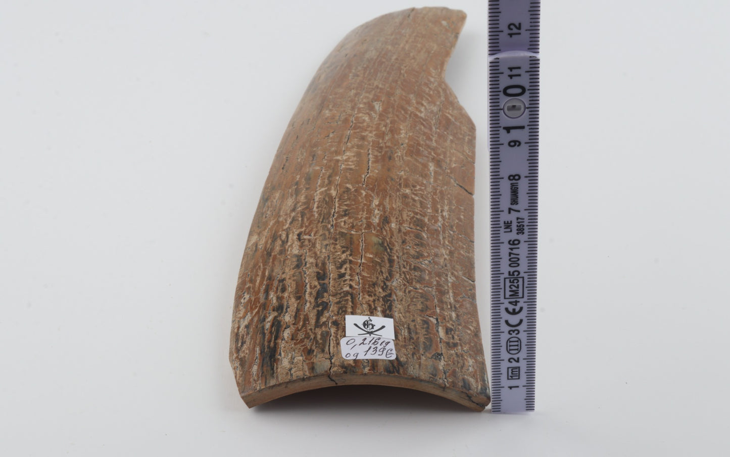 Beige mammoth bark