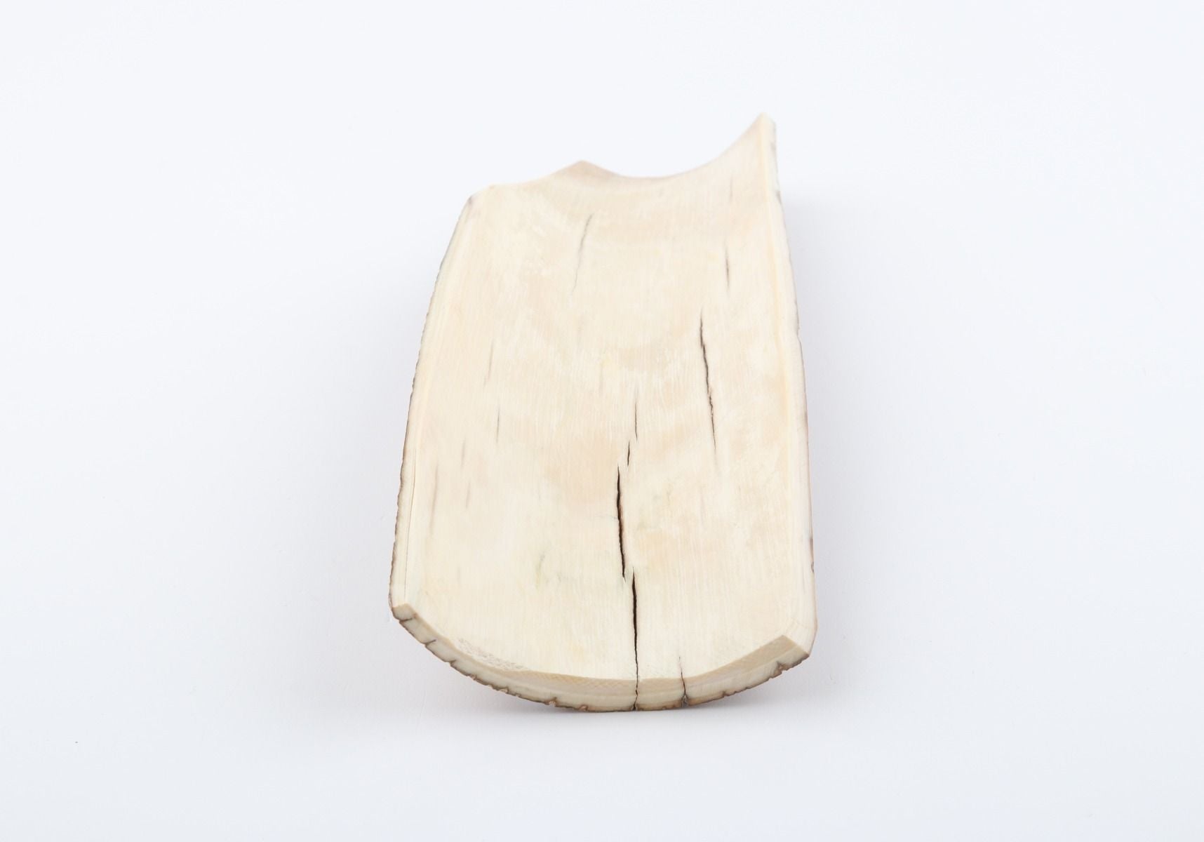 Brown mammoth bark
