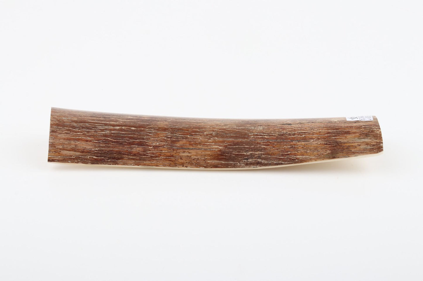 Brown mammoth bark