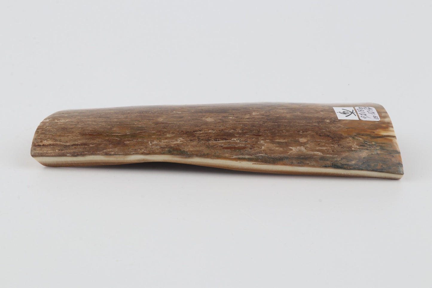 Beige mammoth bark