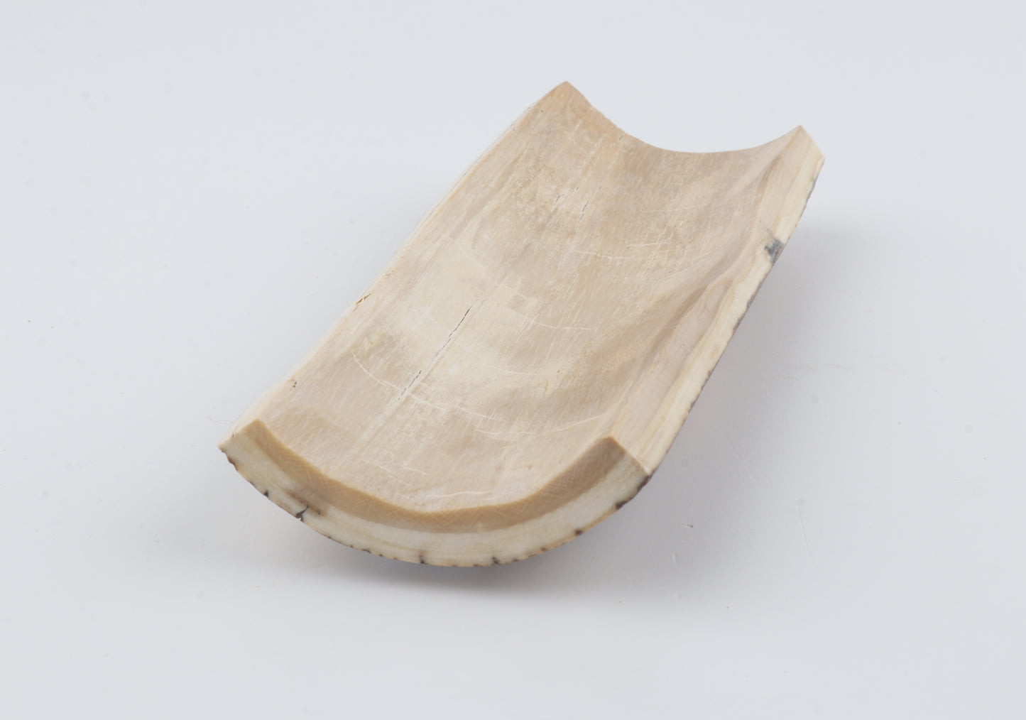 Brown-orange mammoth bark