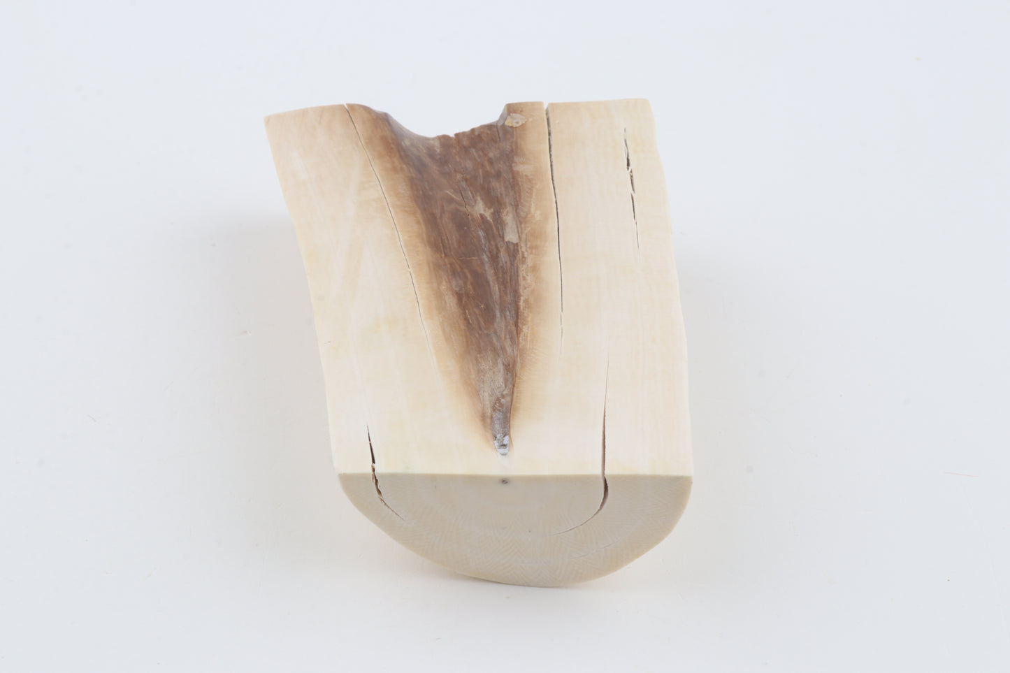 White mammoth ivory piece
