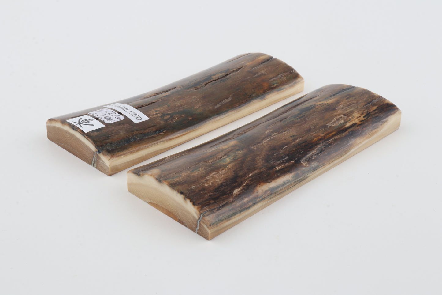 Stabilised mammoth bark scales