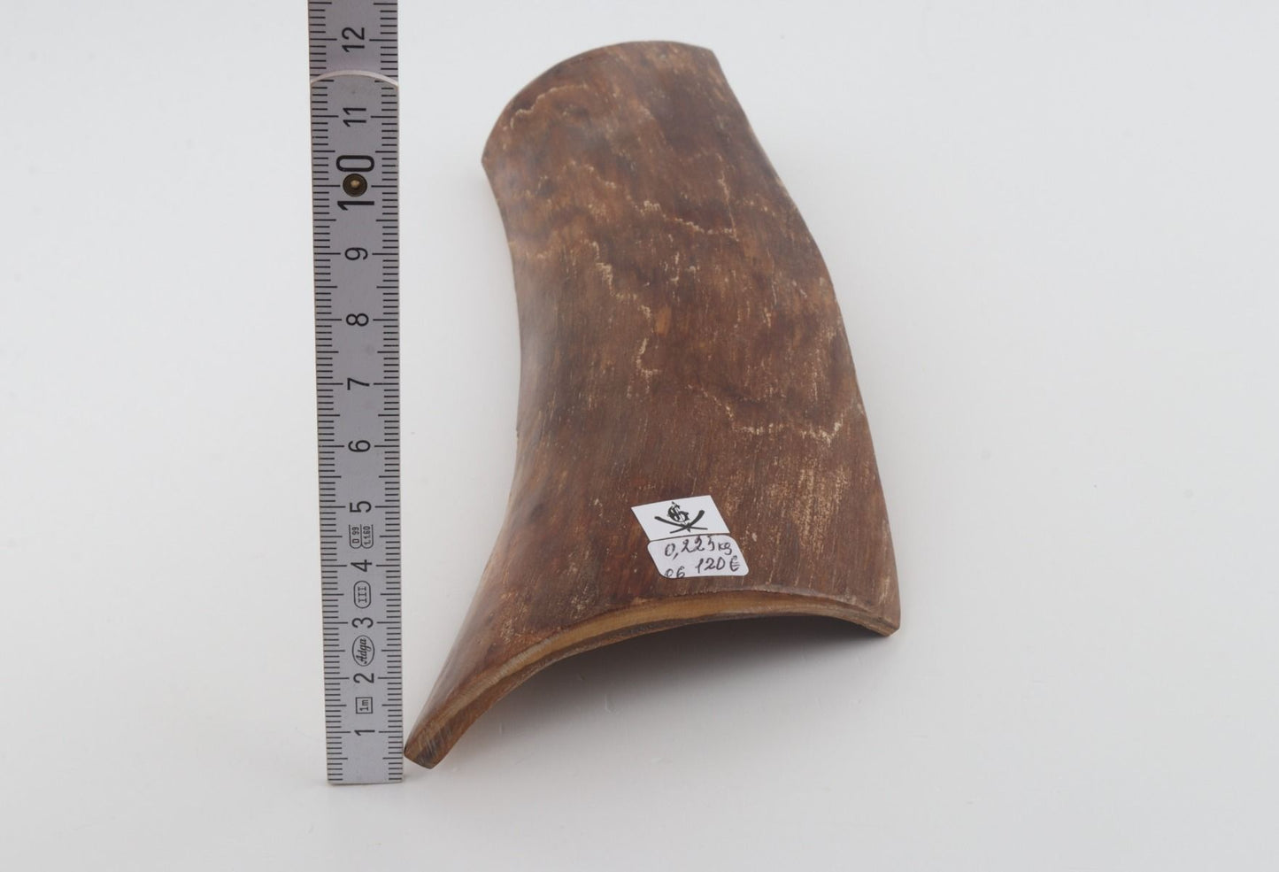 Brown mammoth bark