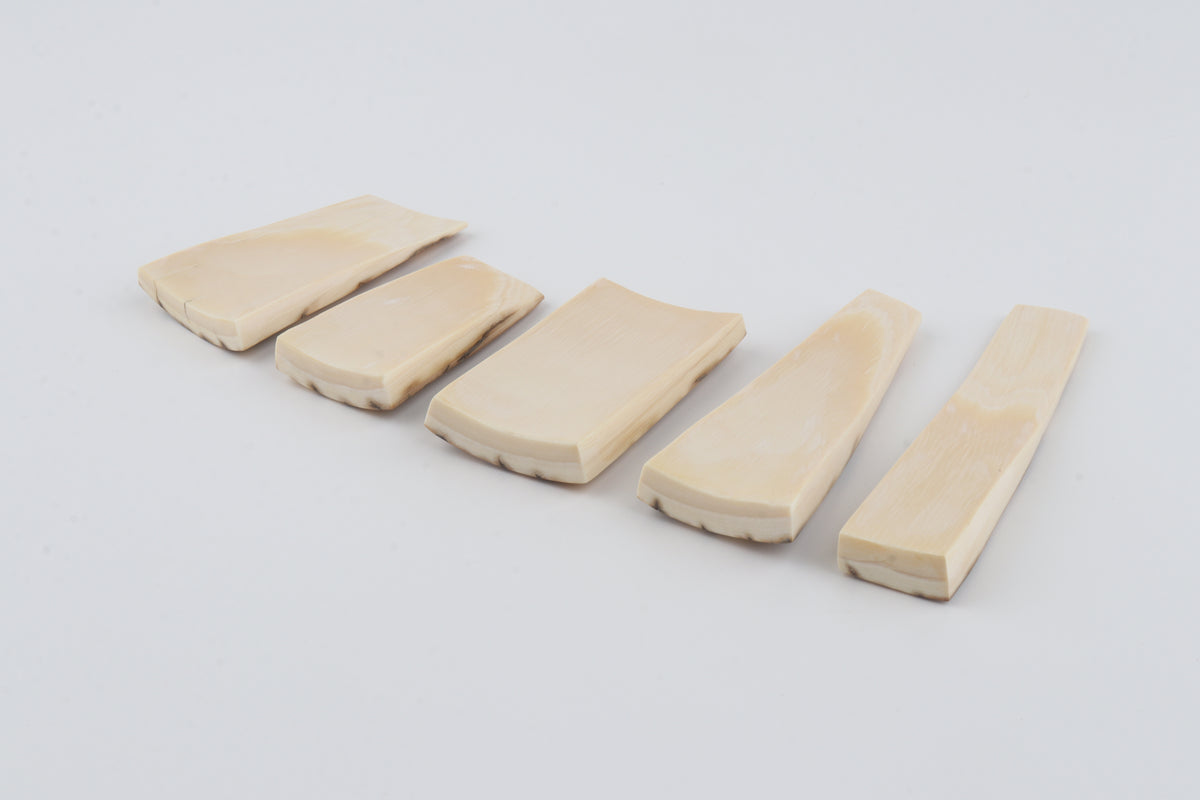 Natural mammoth bark pieces