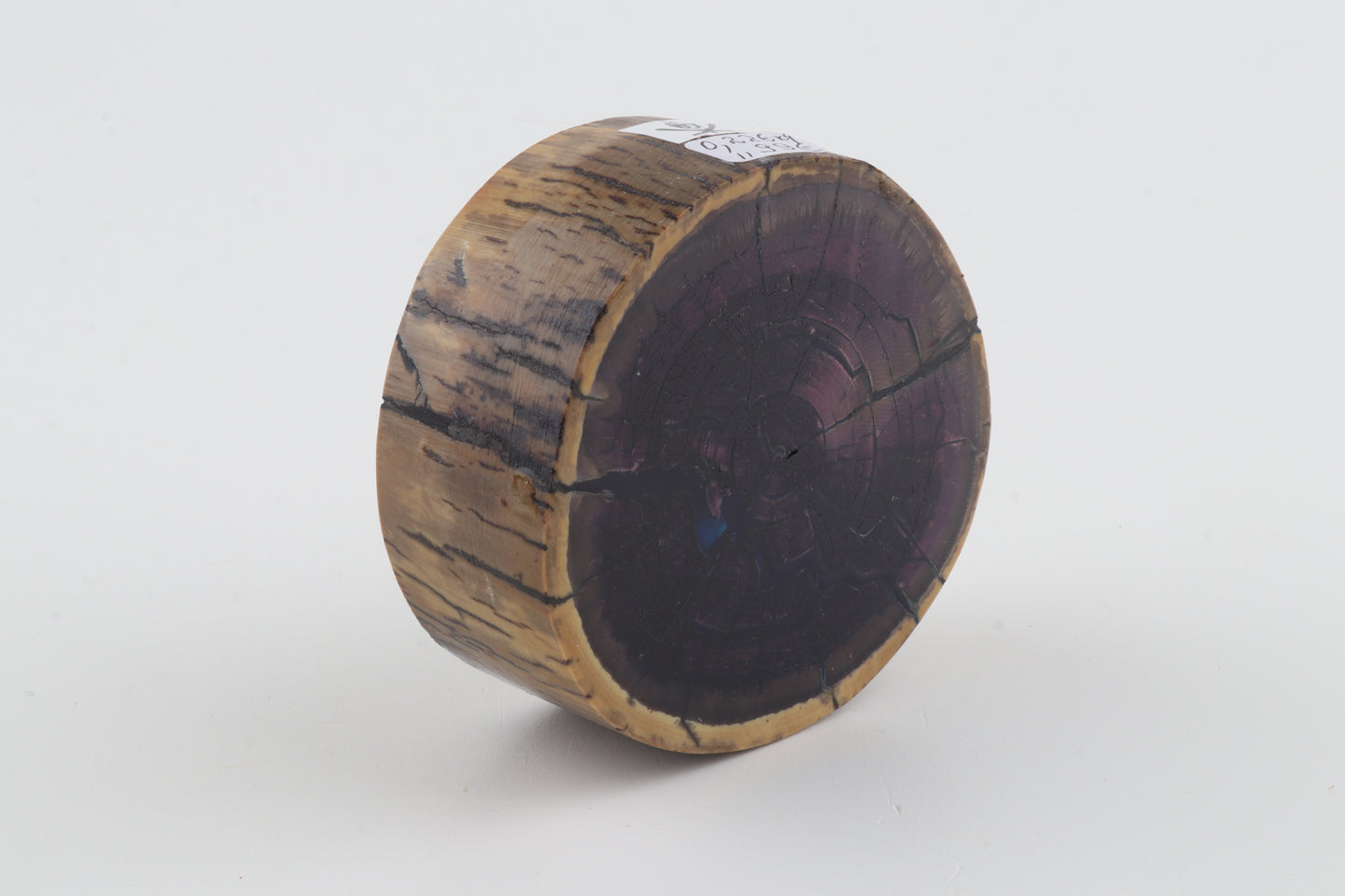 Stabilised mammoth ivory block