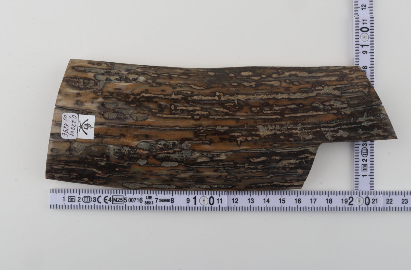 Brown-mustard mammoth bark