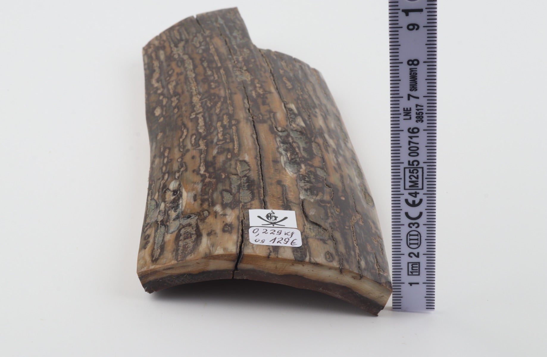 Brown-mustard mammoth bark