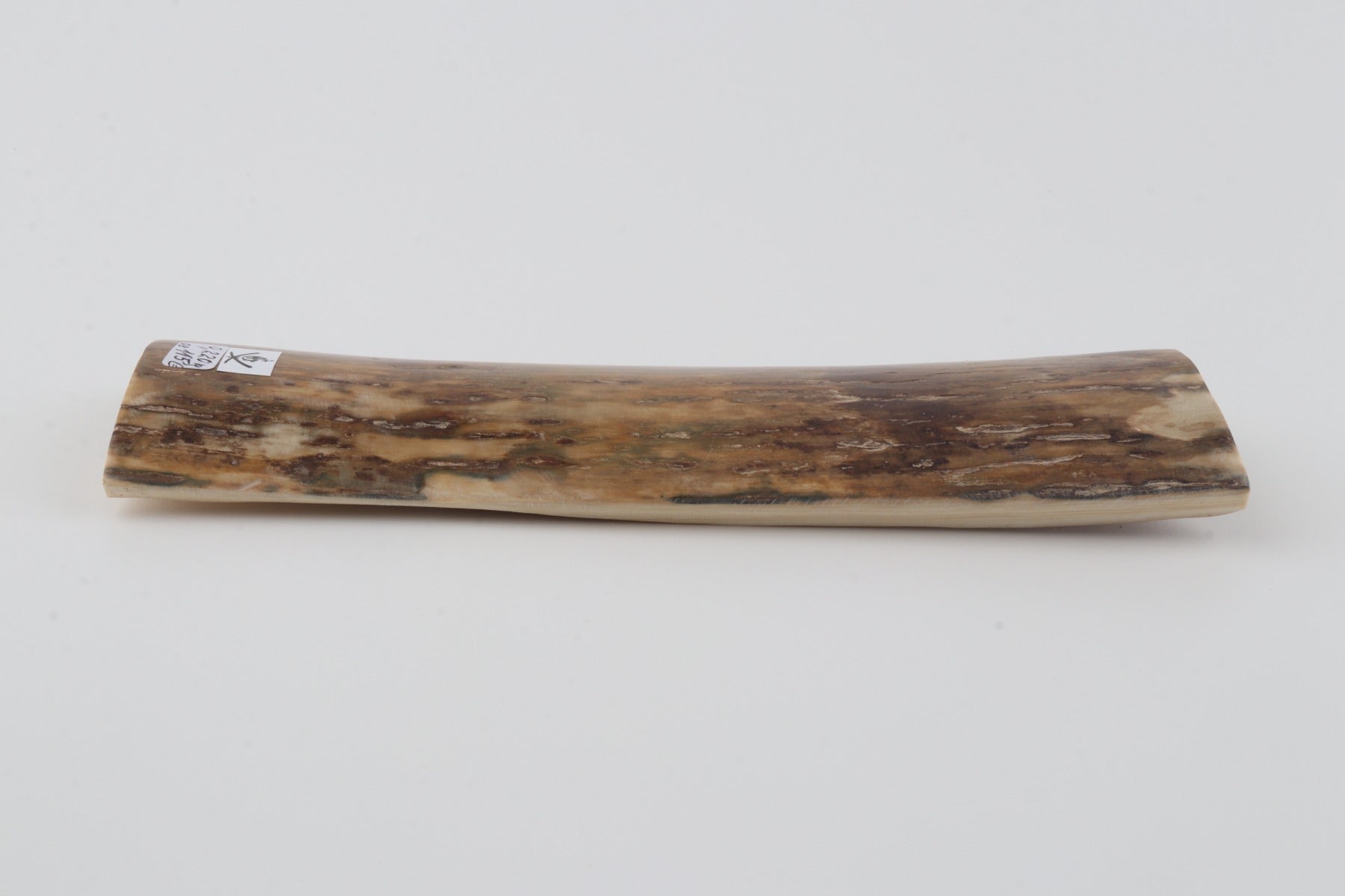 Beige mammoth bark