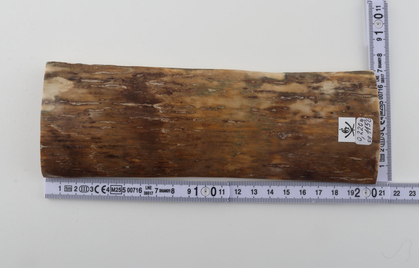 Beige mammoth bark