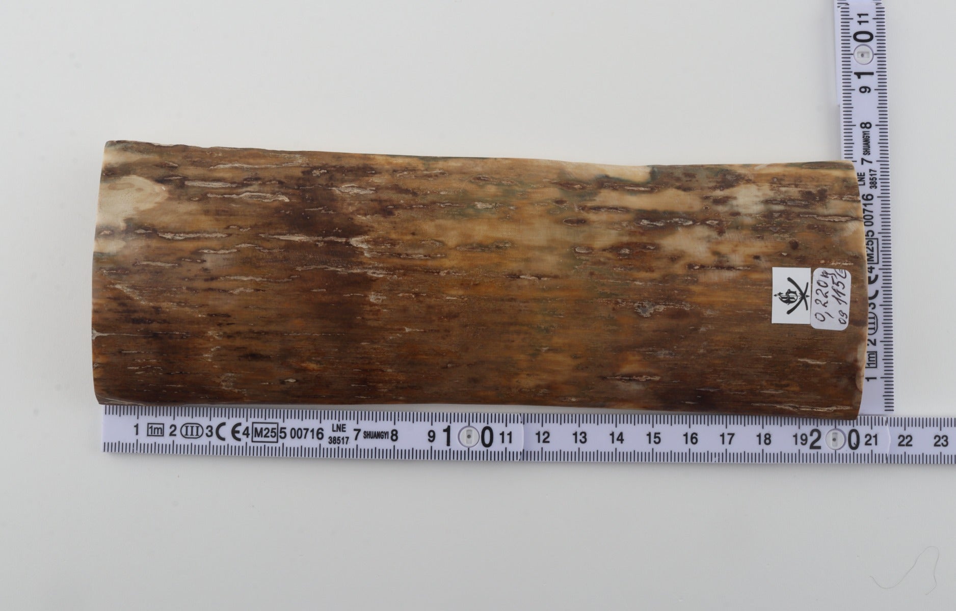 Beige mammoth bark