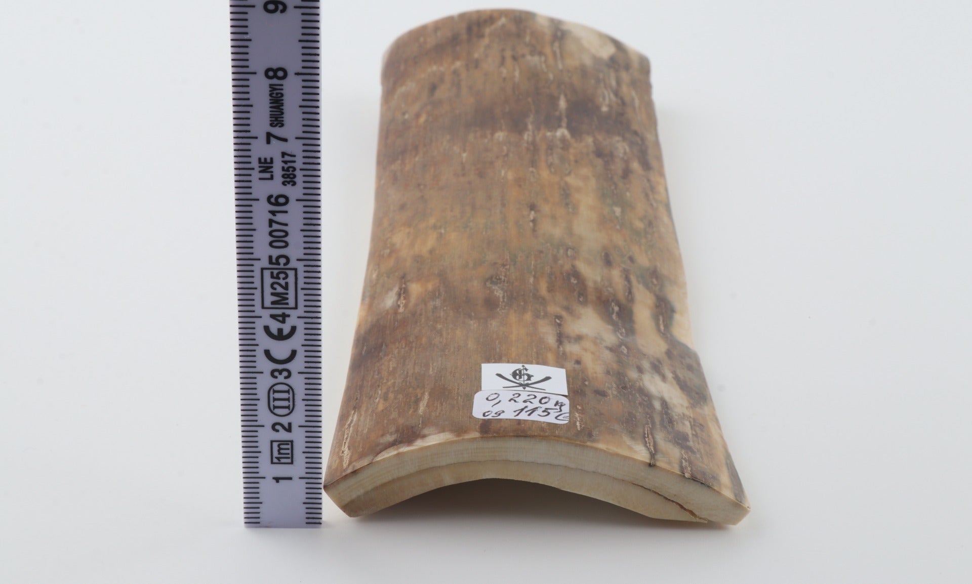 Beige mammoth bark