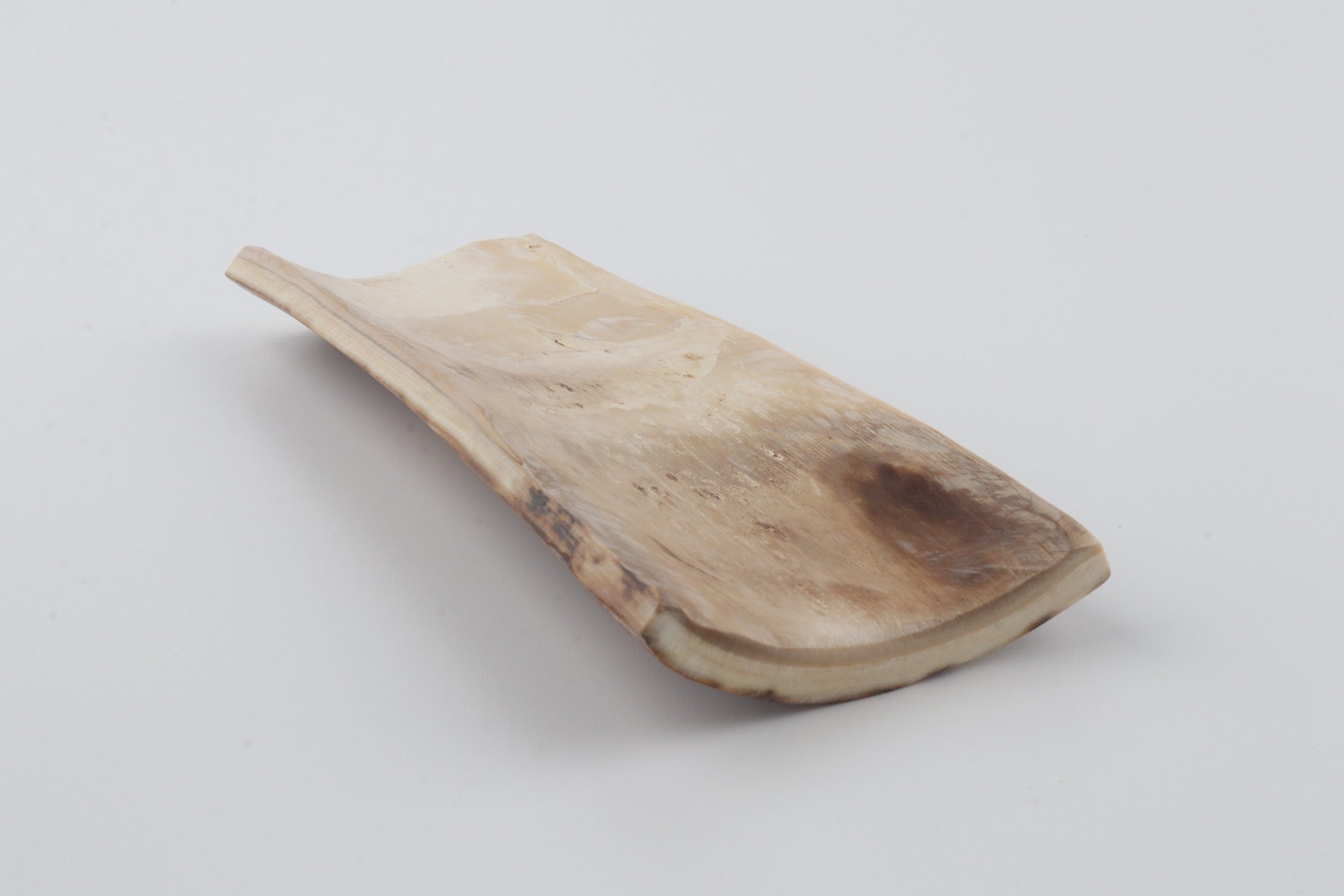 Beige mammoth bark