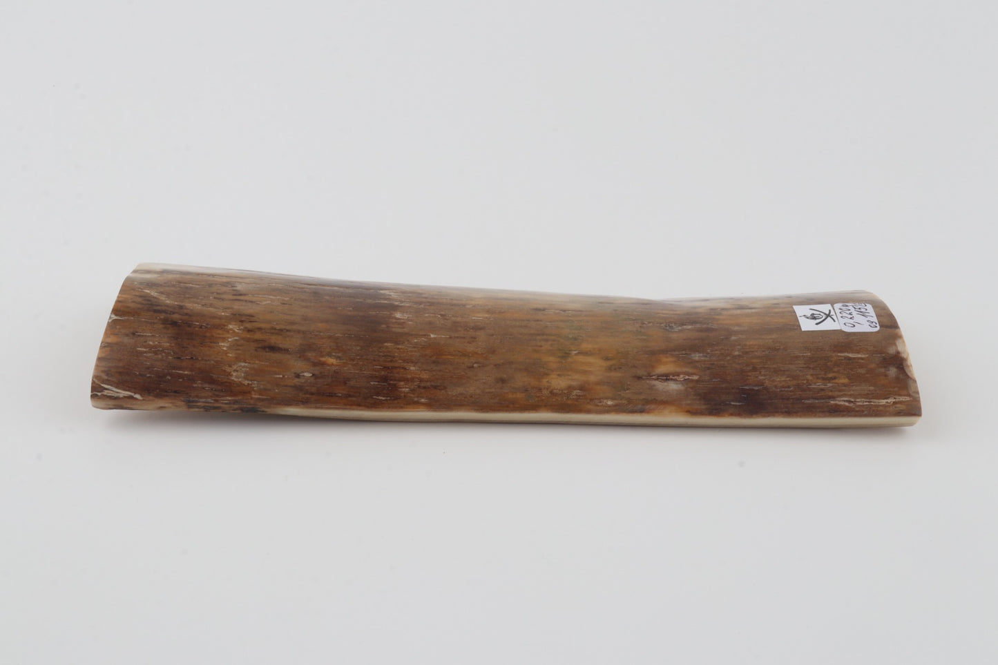 Beige mammoth bark
